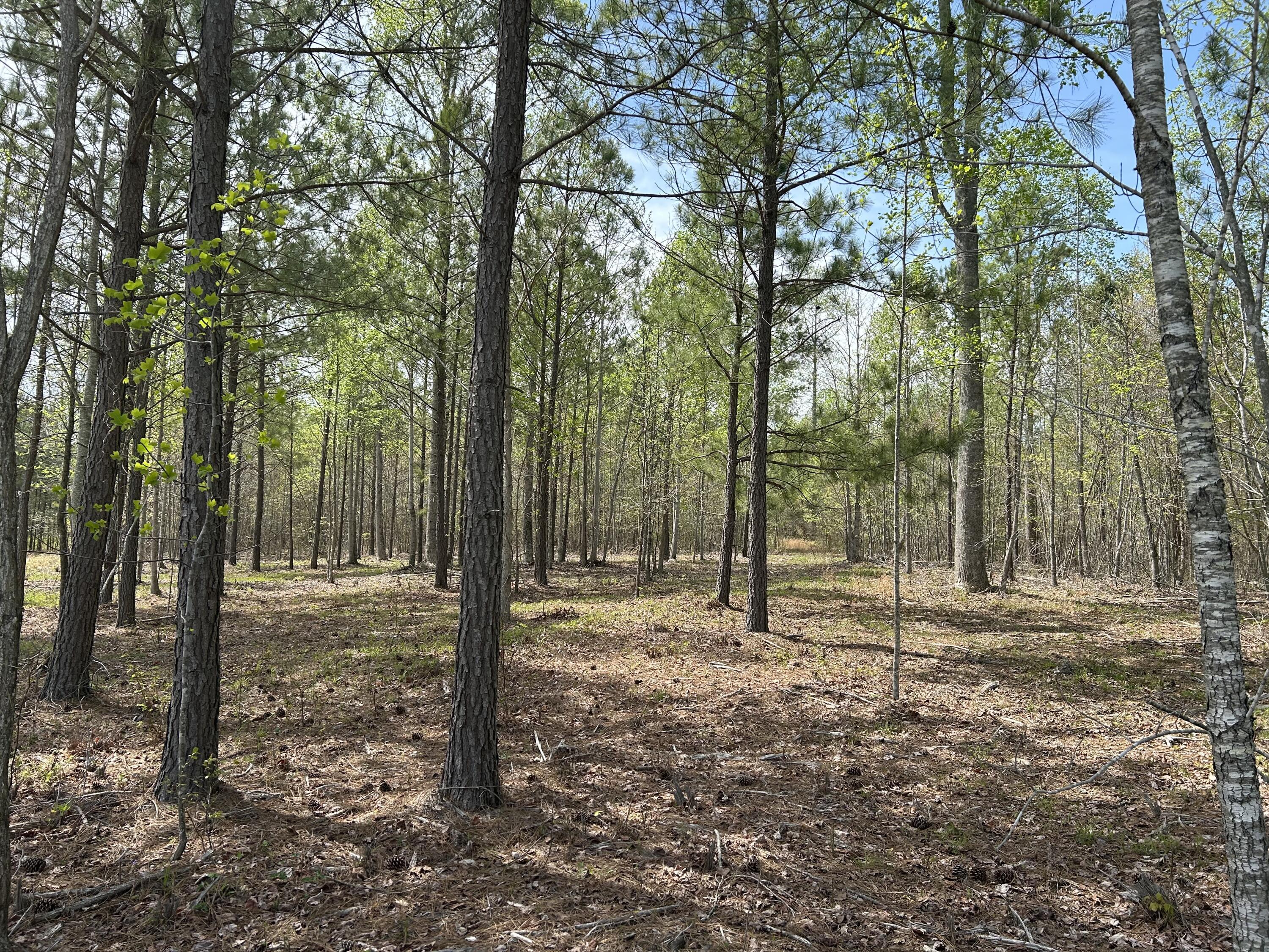 6390 Raulston Falls Road, Jf-094