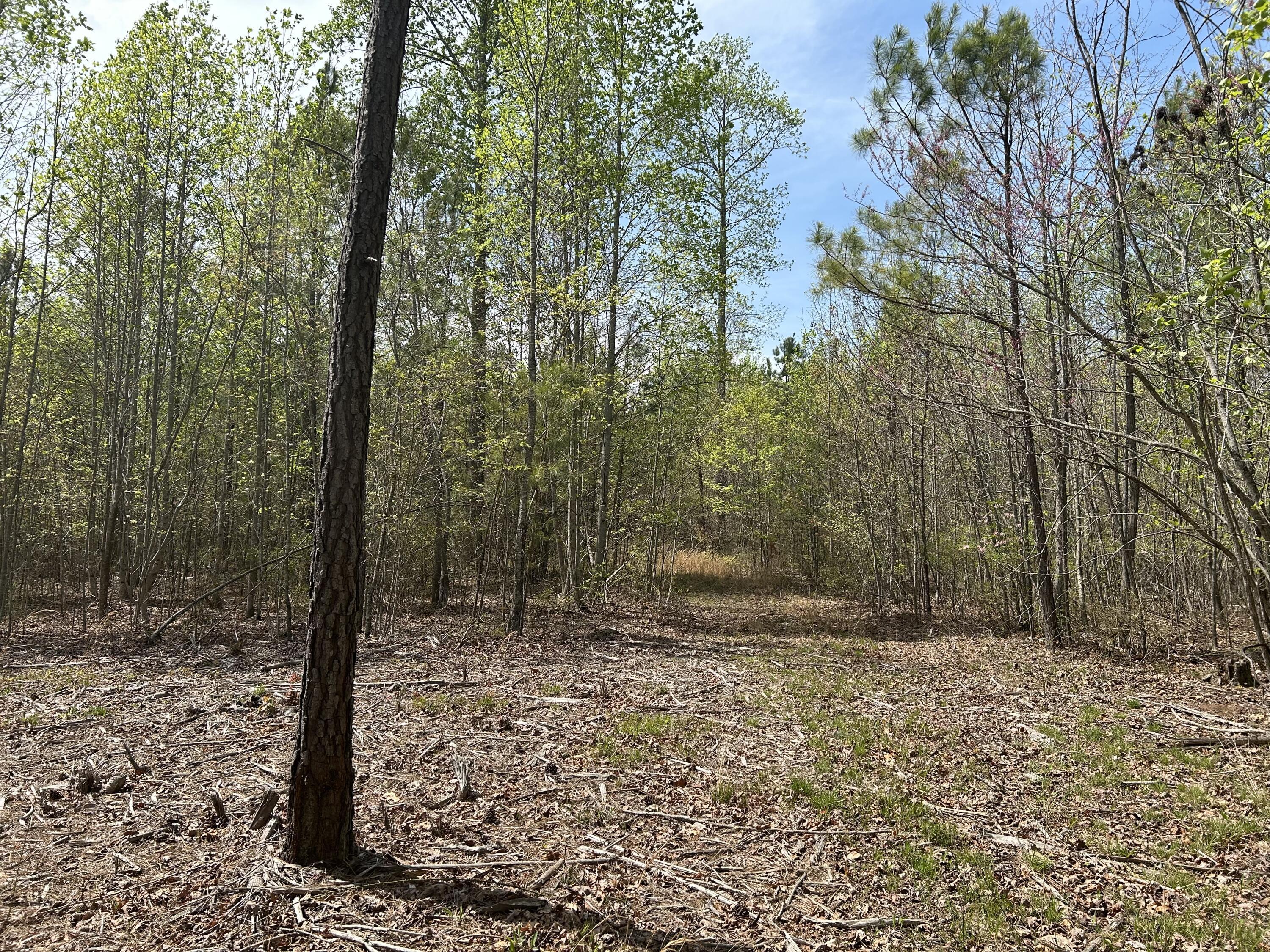6390 Raulston Falls Road, Jf-094