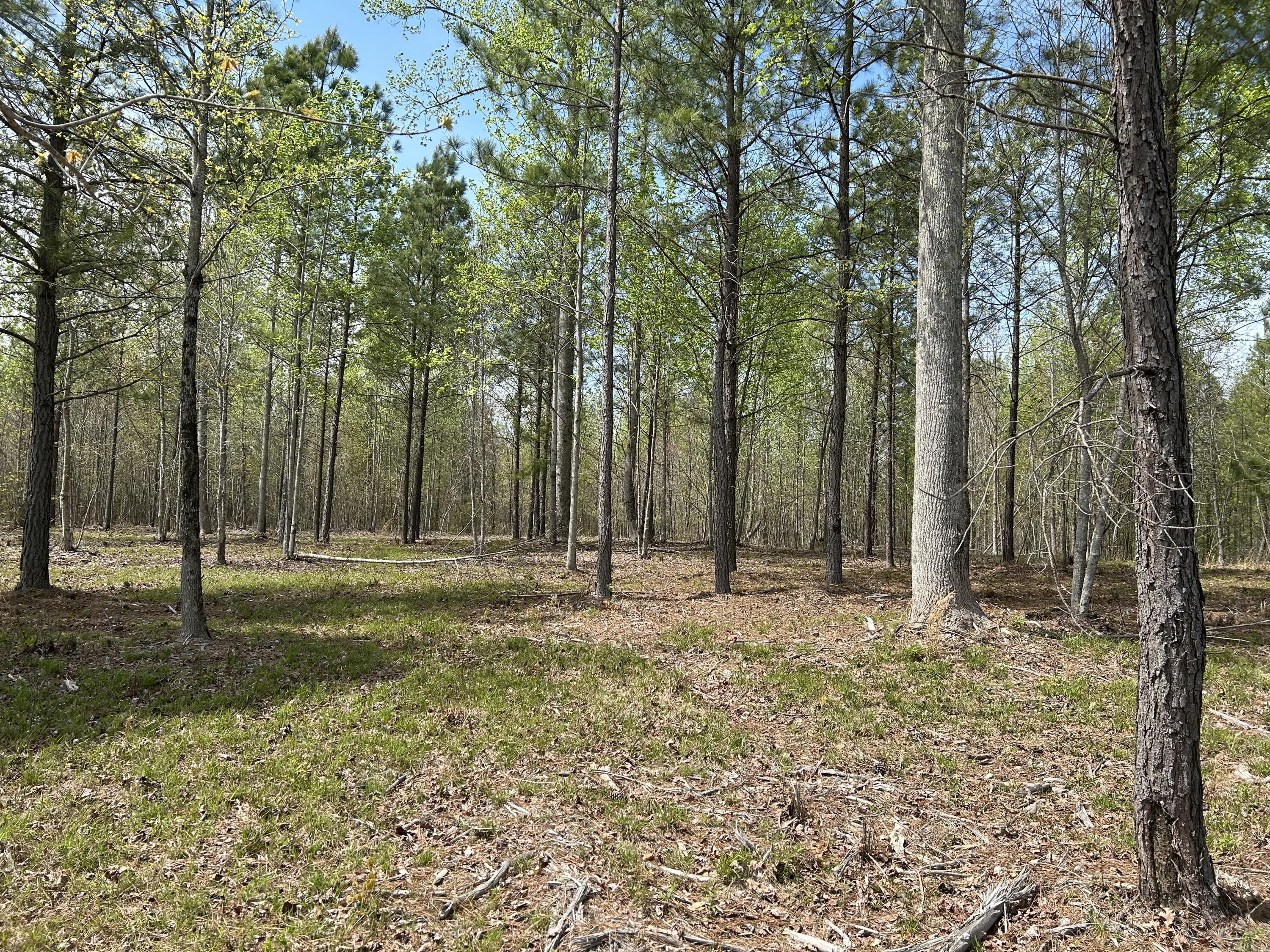 6390 Raulston Falls Road, Jf-094