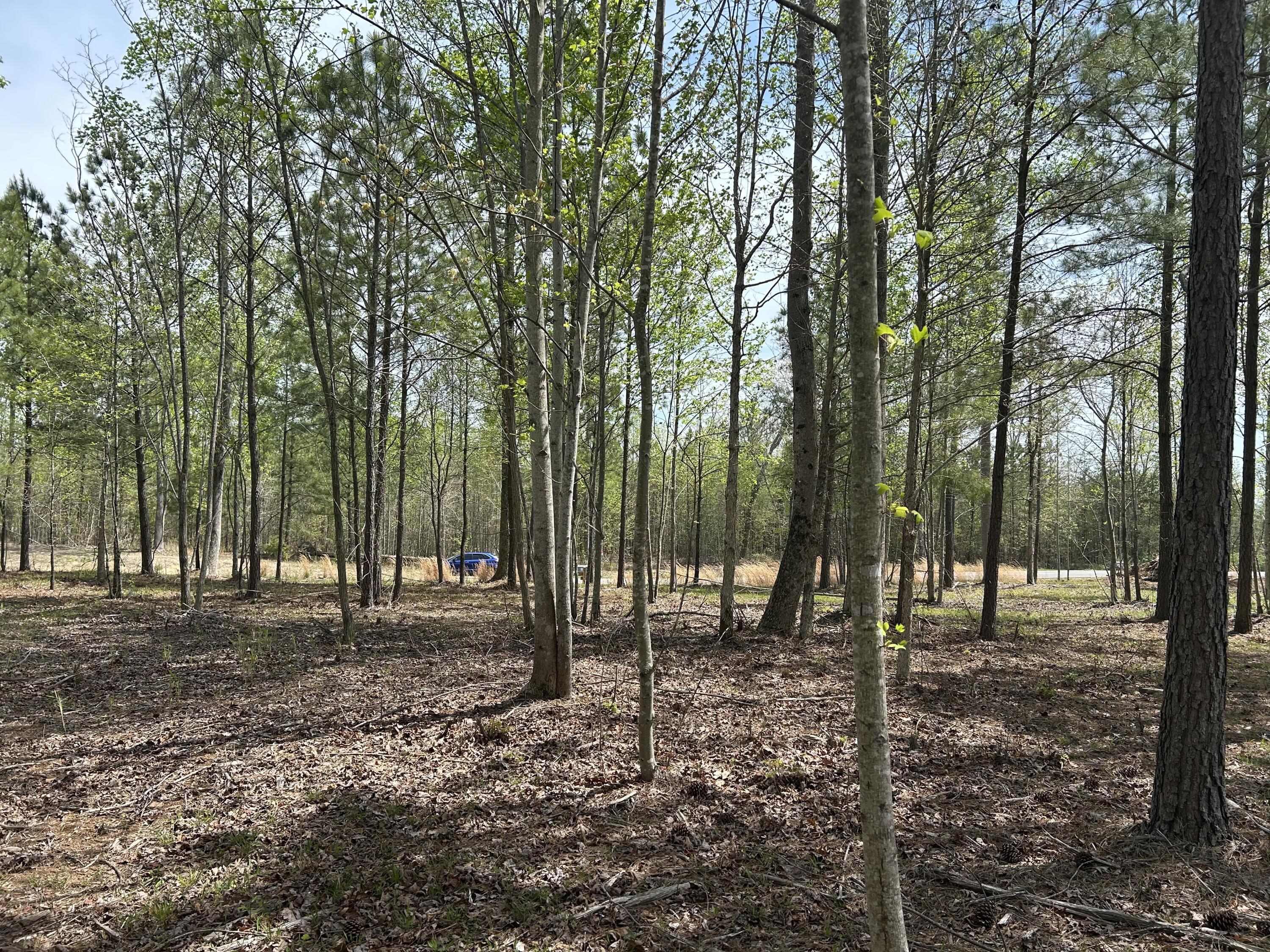 6390 Raulston Falls Road, Jf-094