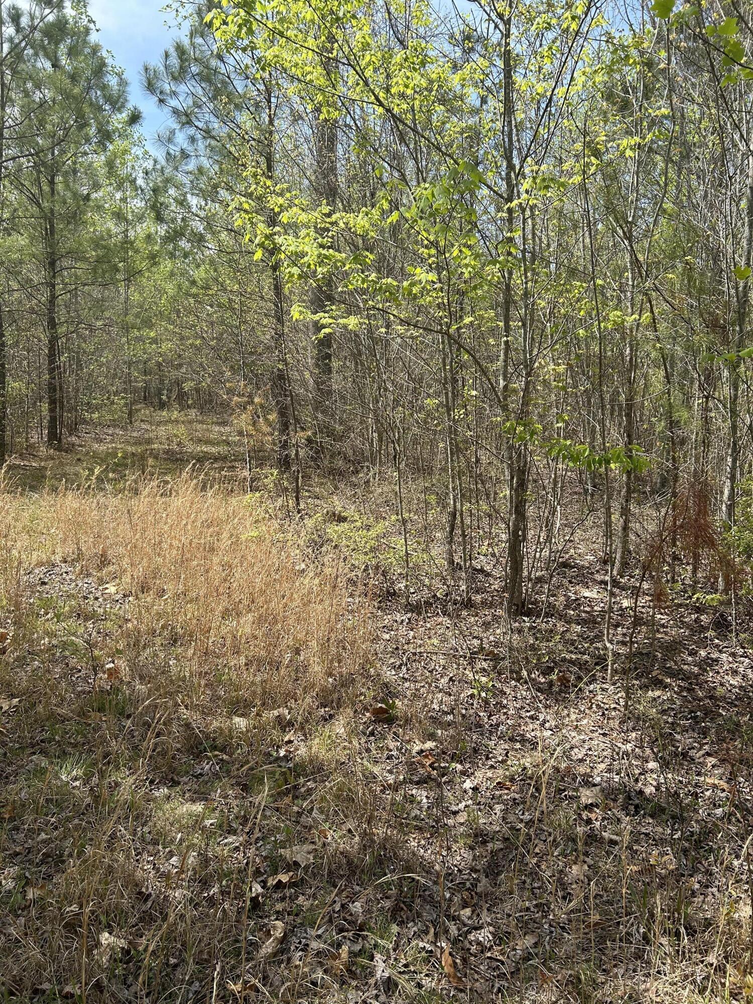 6390 Raulston Falls Road, Jf-094