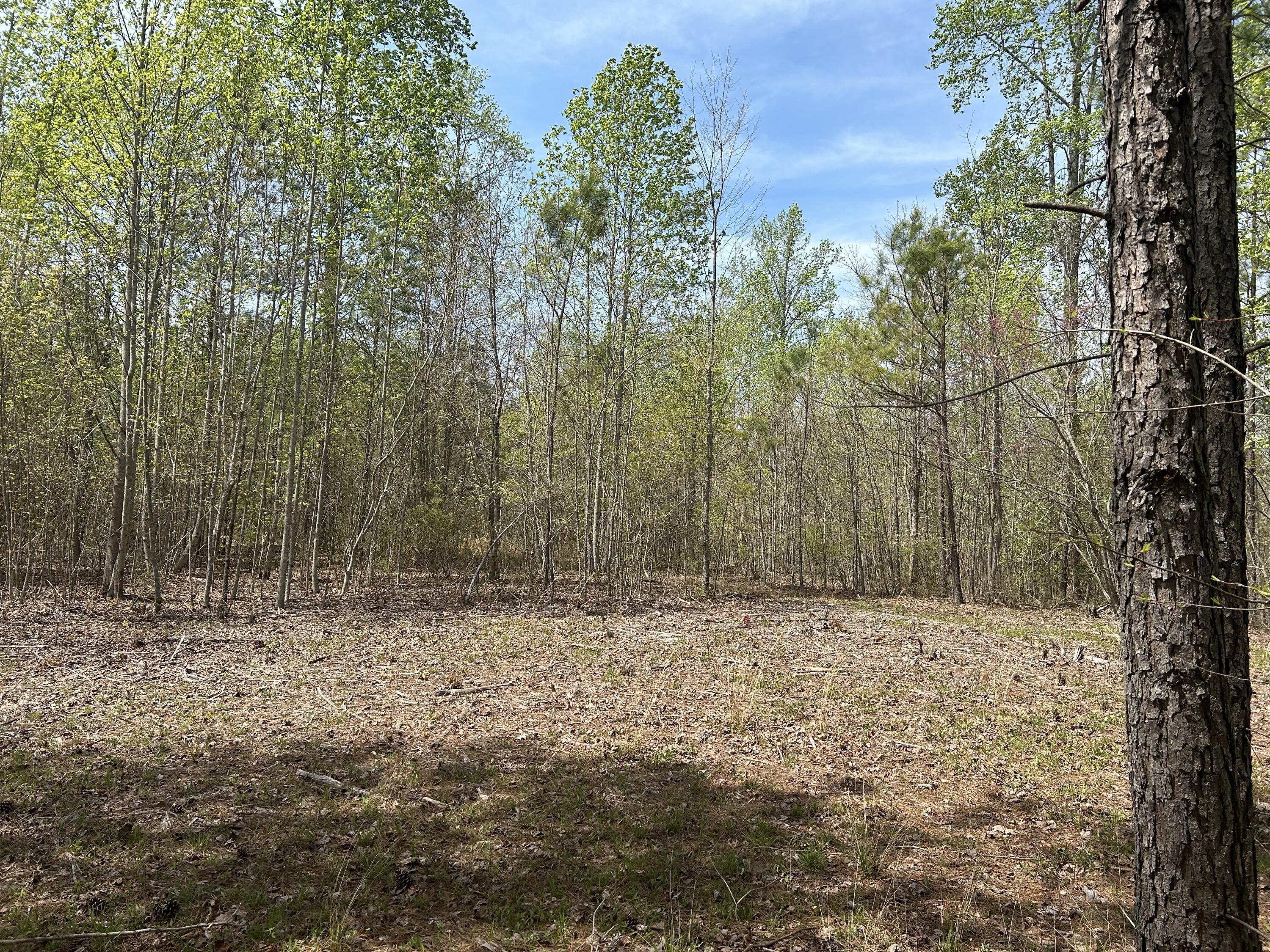 6390 Raulston Falls Road, Jf-094