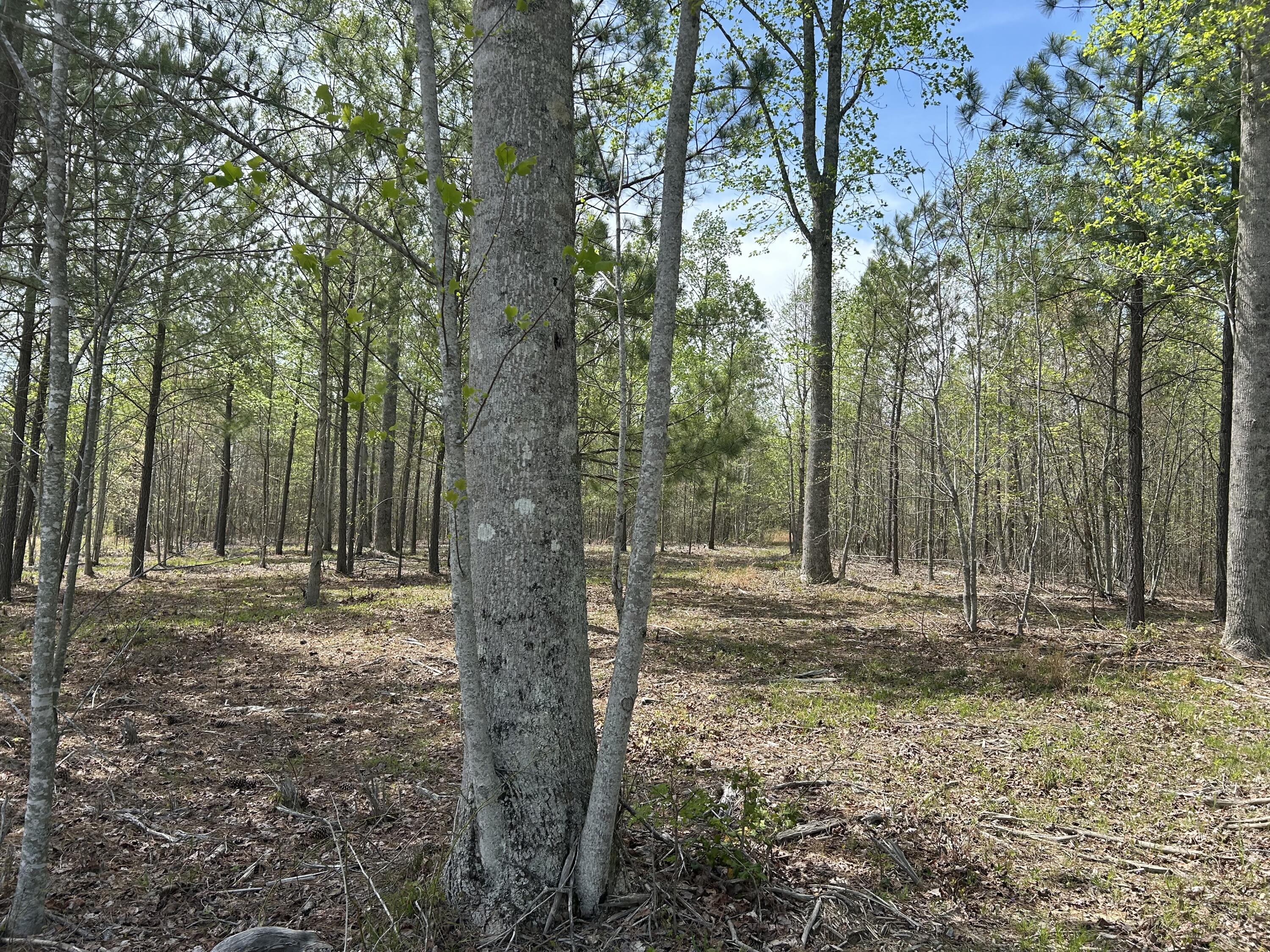 6390 Raulston Falls Road, Jf-094