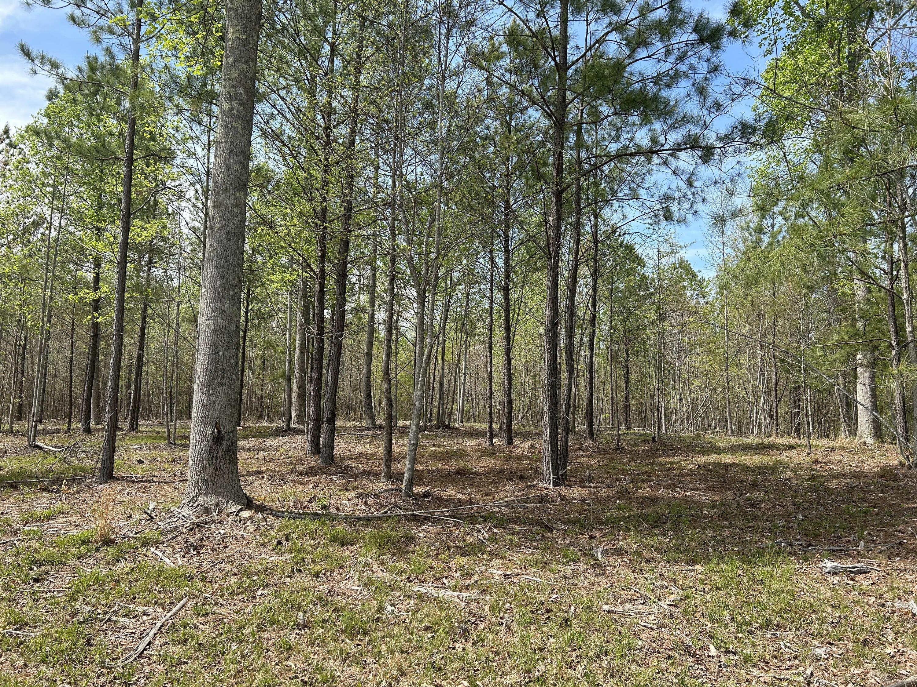 6390 Raulston Falls Road, Jf-094