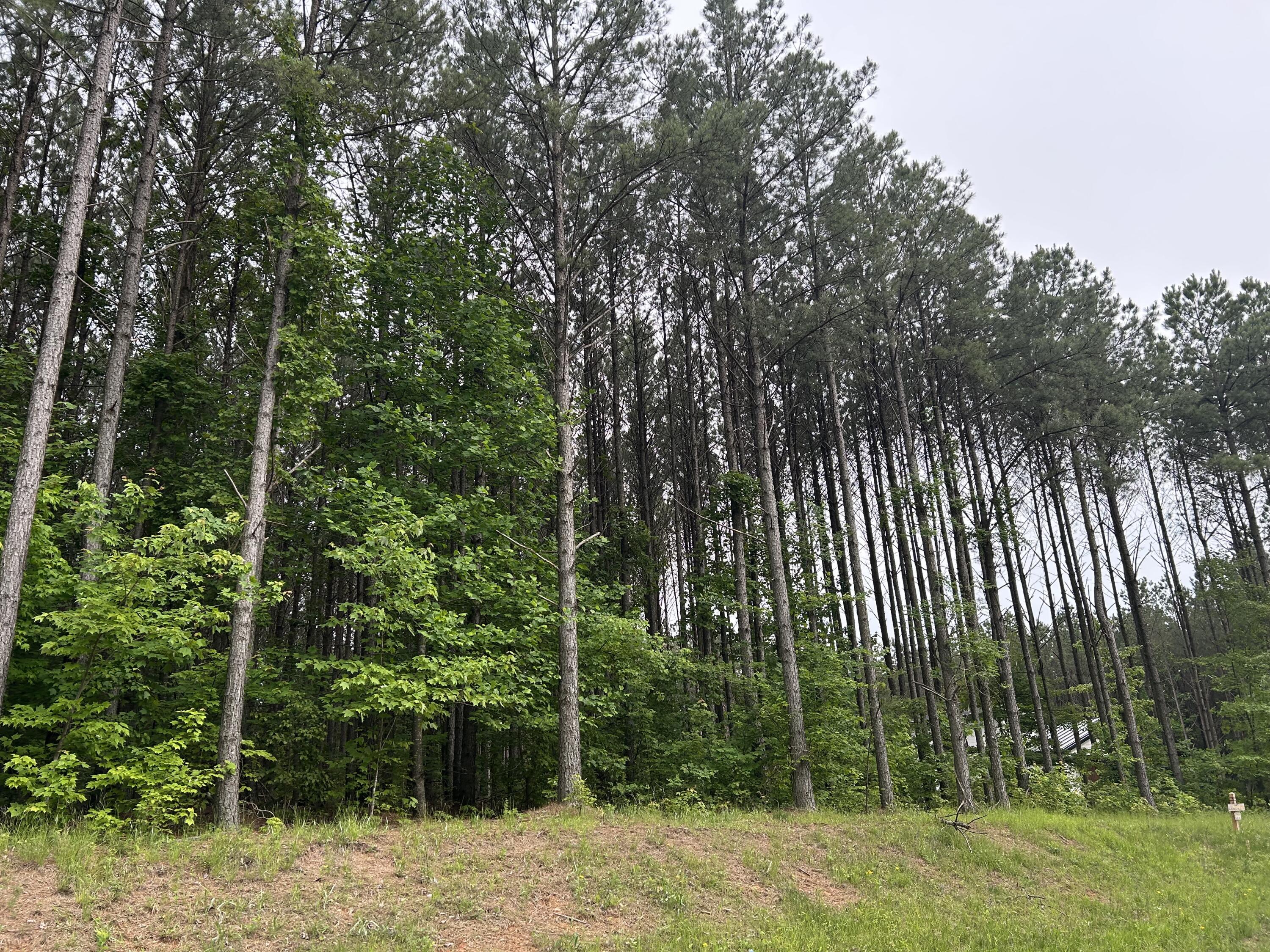 1771 Crockett Point, Jf-604