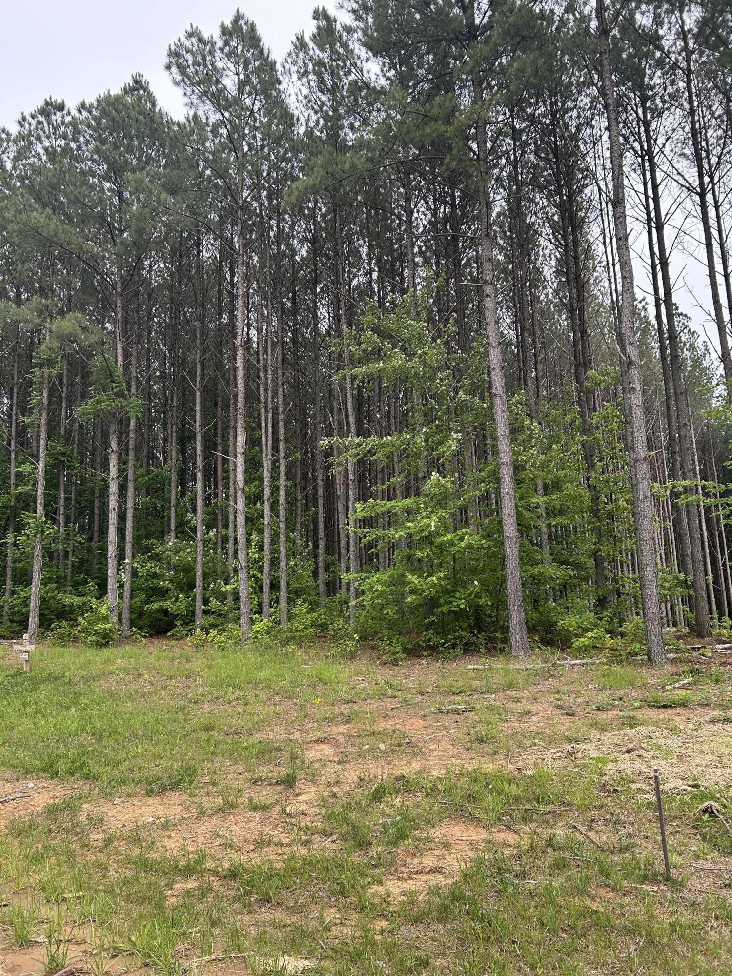 1771 Crockett Point, Jf-604