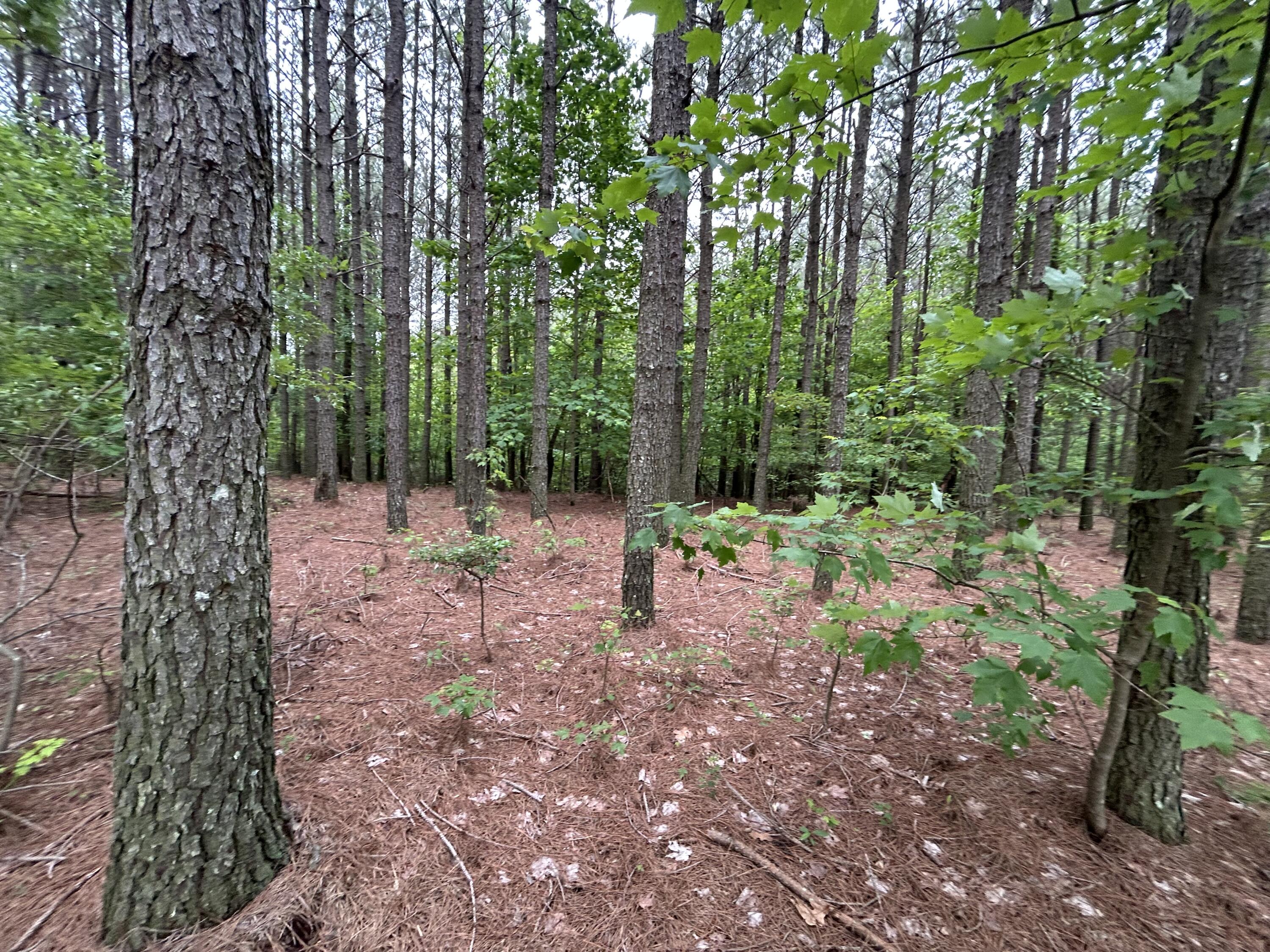 1771 Crockett Point, Jf-604