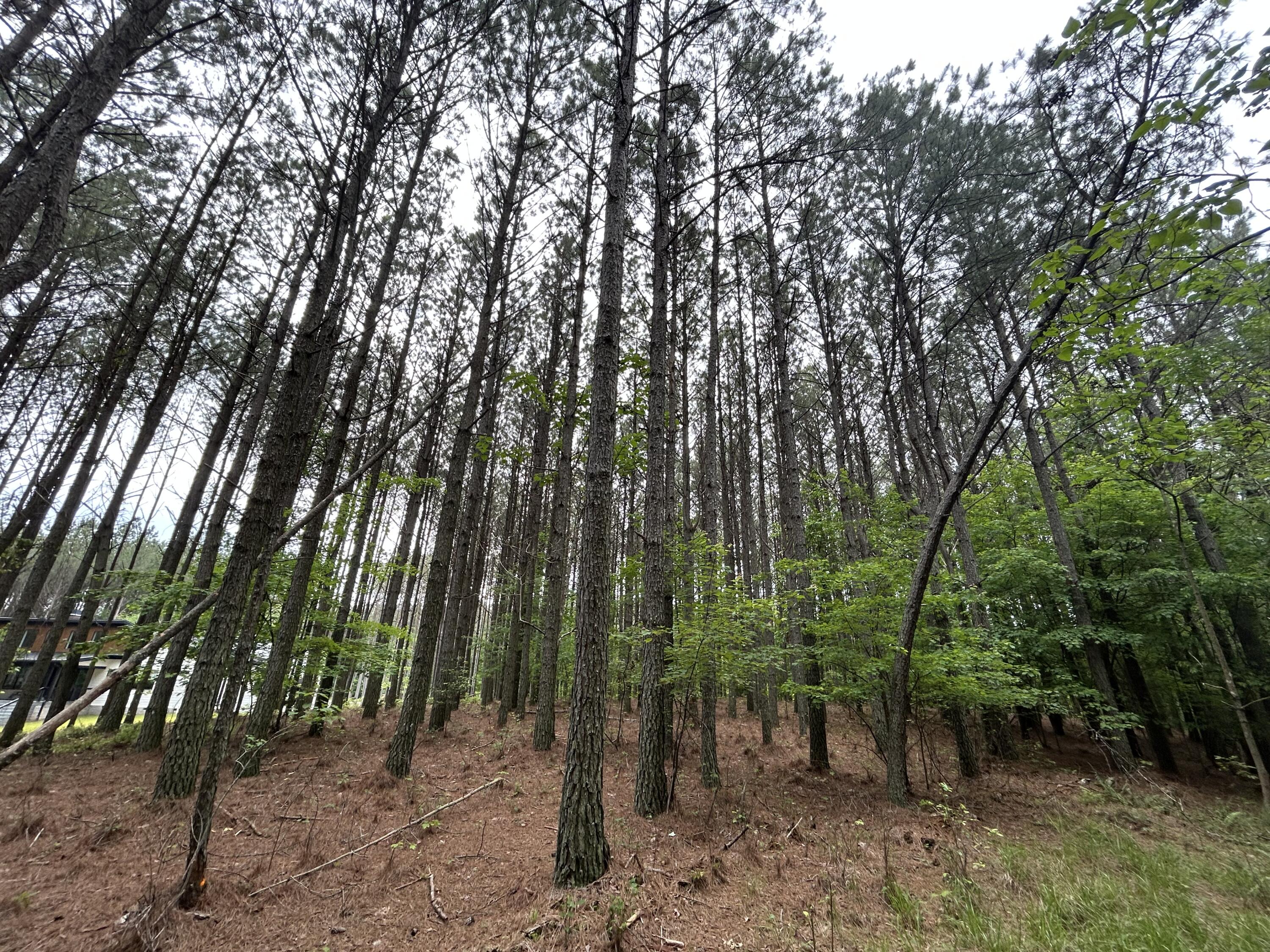 1771 Crockett Point, Jf-604