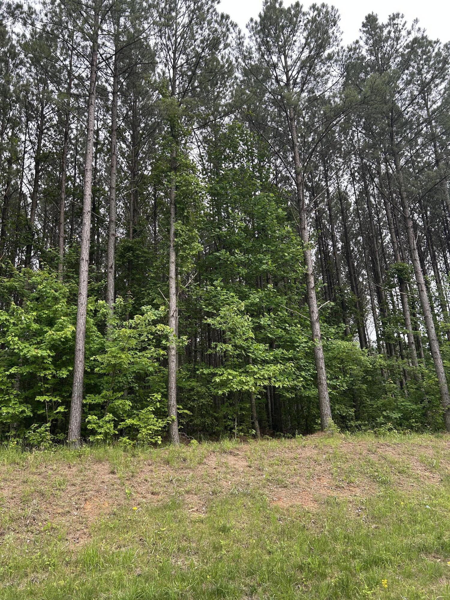 1771 Crockett Point, Jf-604