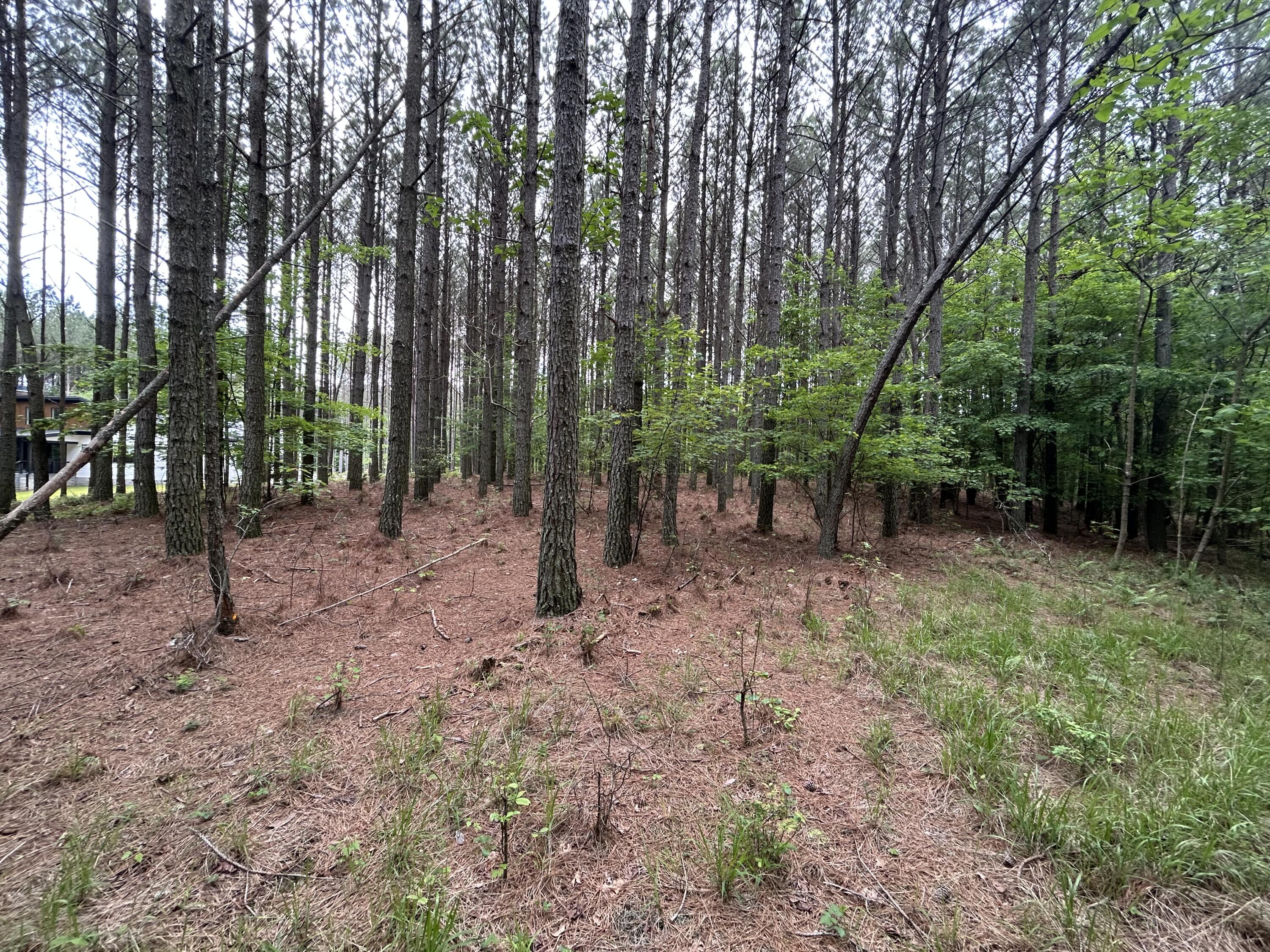 1771 Crockett Point, Jf-604