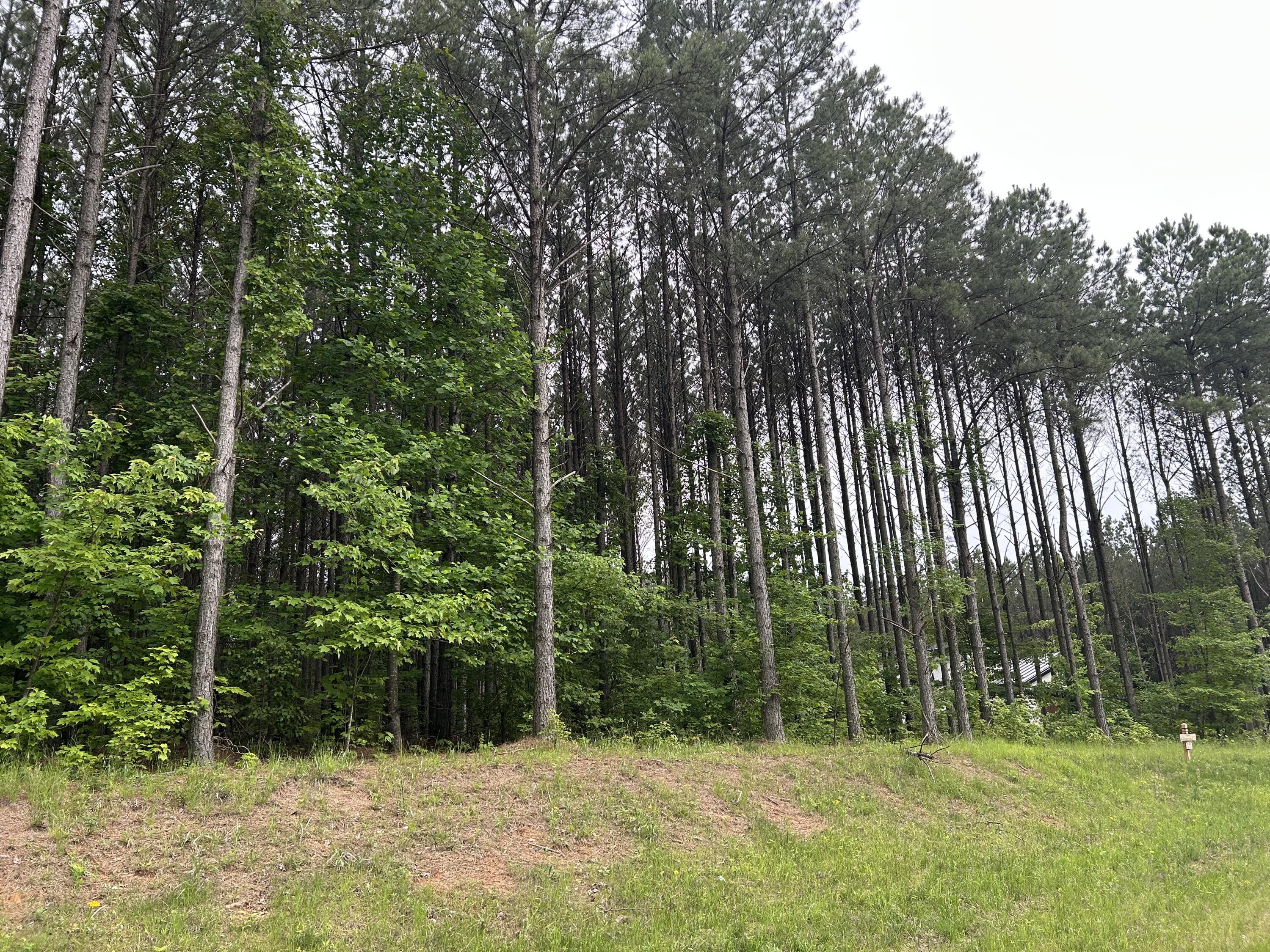 1771 Crockett Point, Jf-604