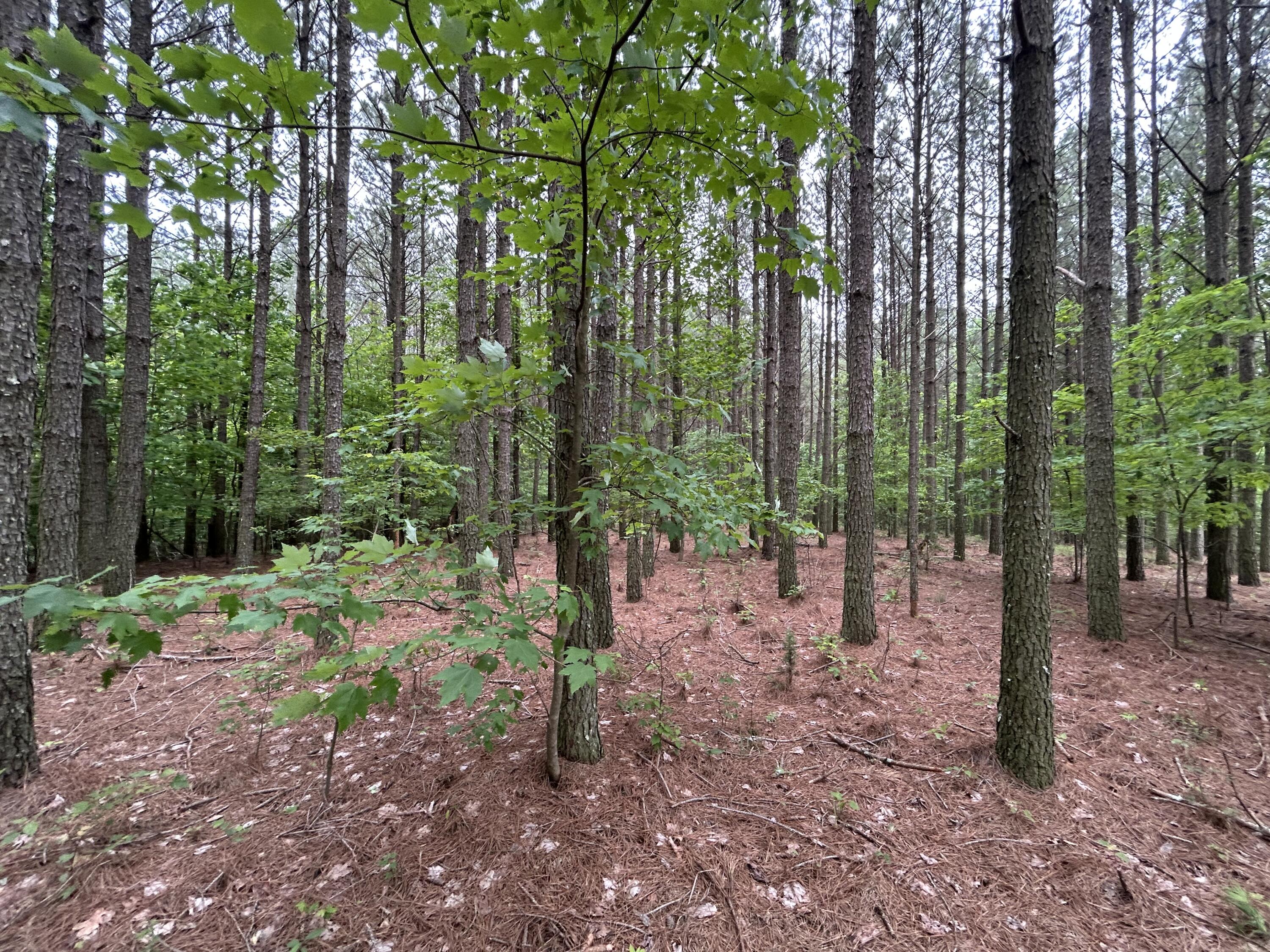 1771 Crockett Point, Jf-604