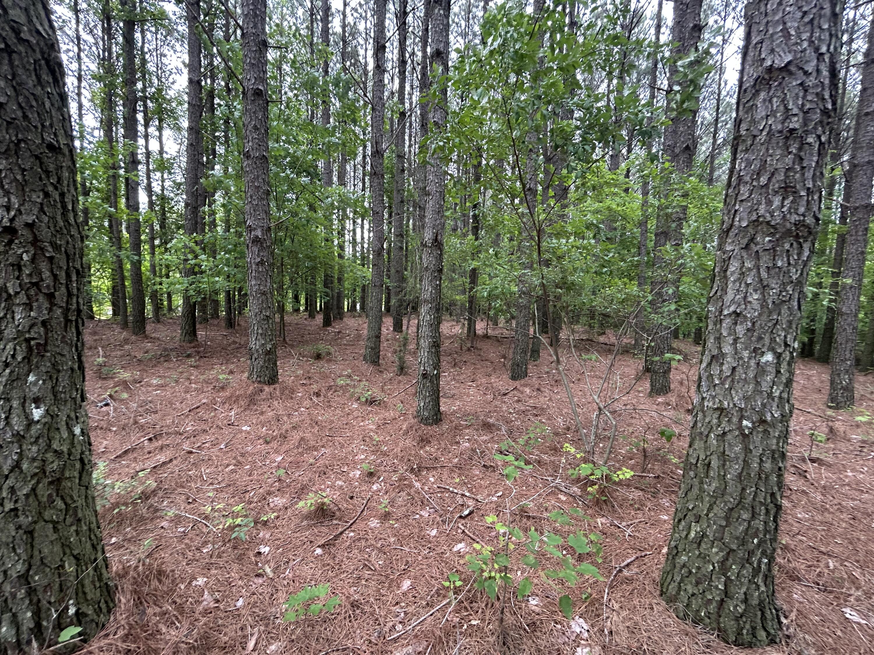 1771 Crockett Point, Jf-604