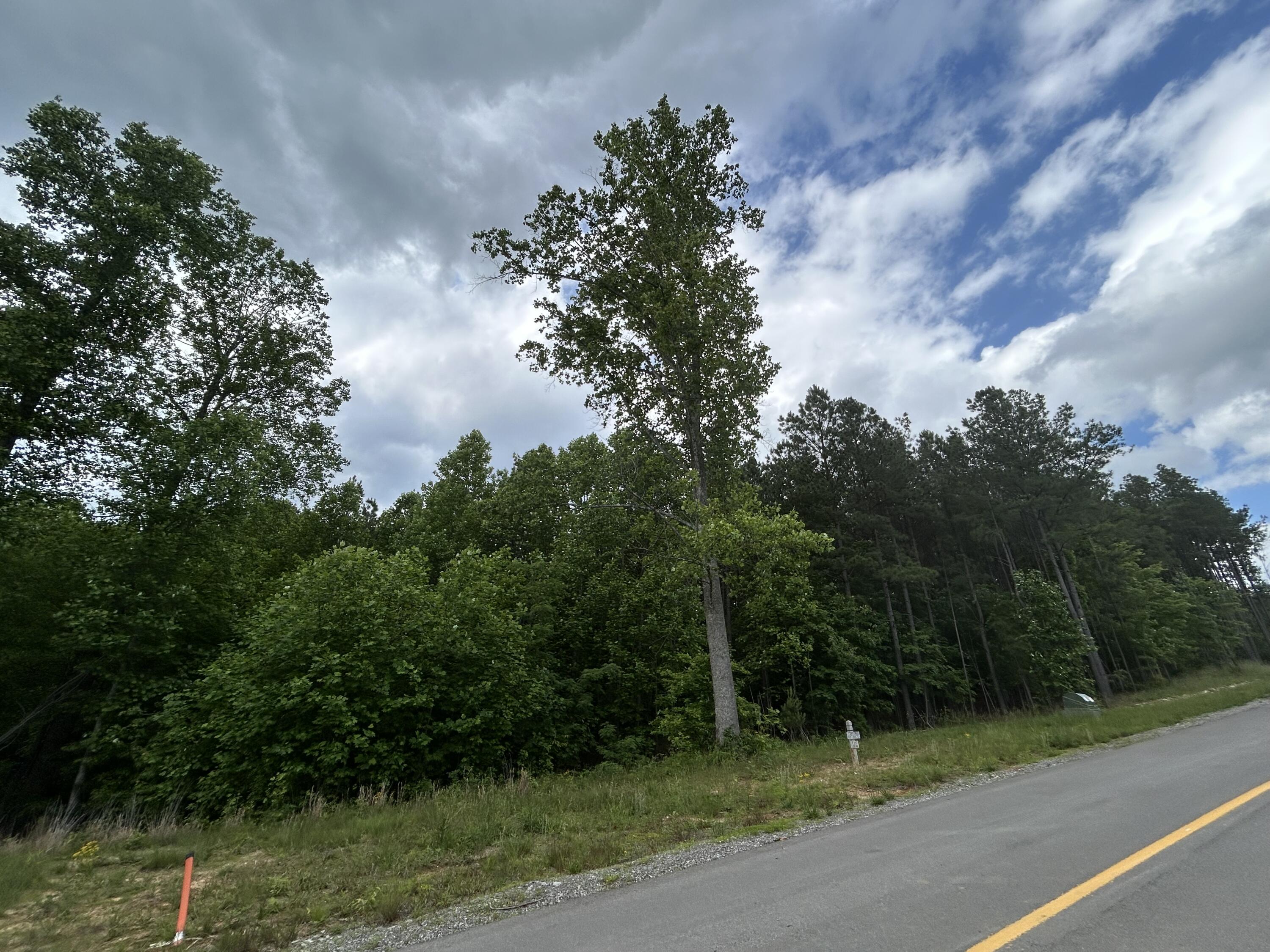 464 Moonlight Lane, Jf-440