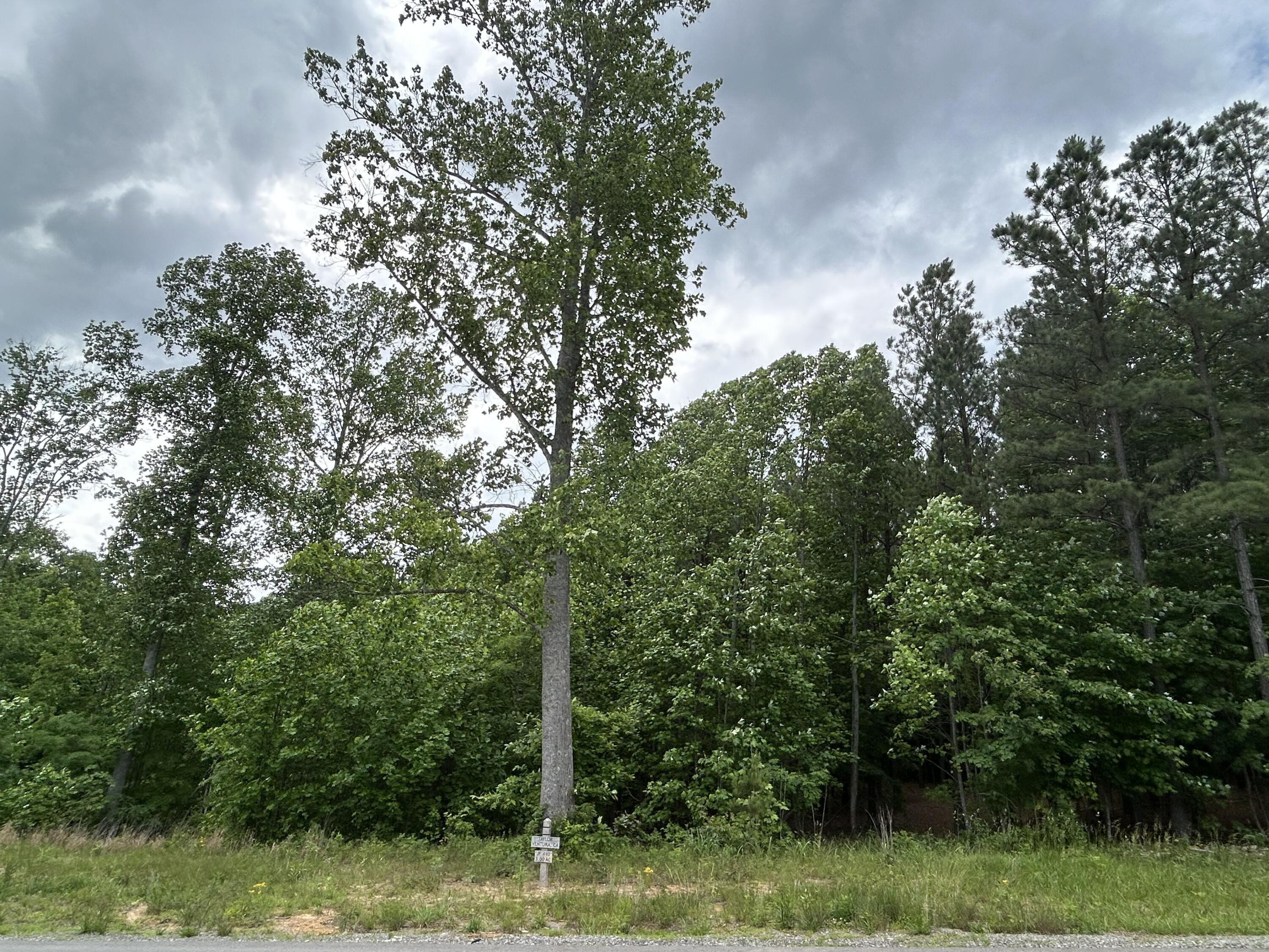 464 Moonlight Lane, Jf-440