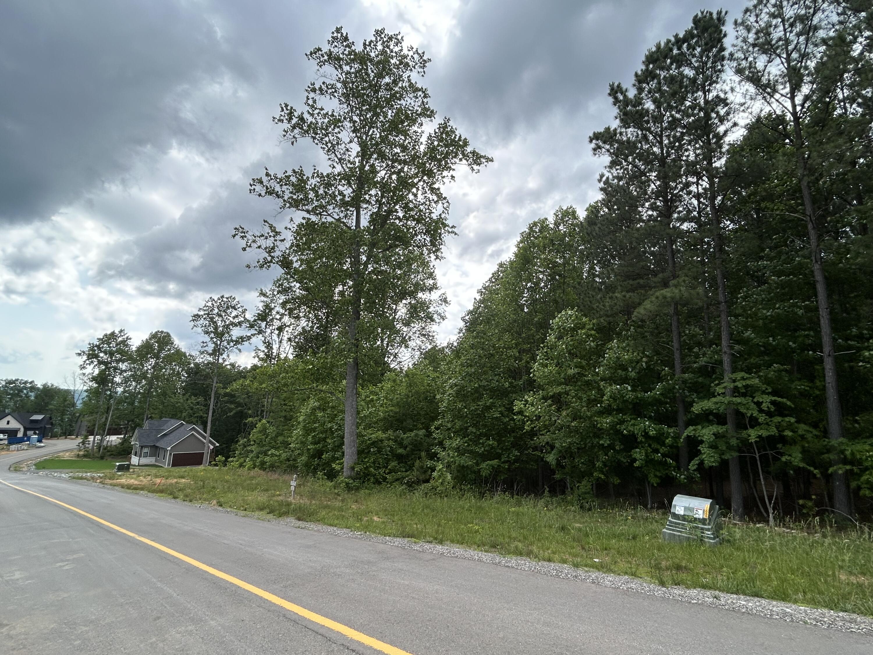 464 Moonlight Lane, Jf-440
