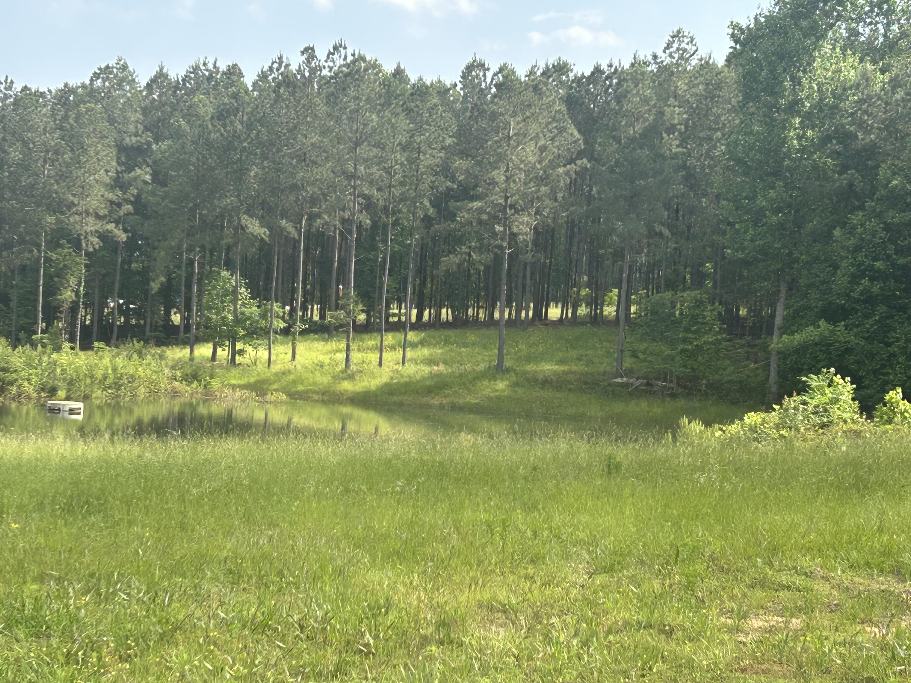 350 Crockett Loop, Jf-79