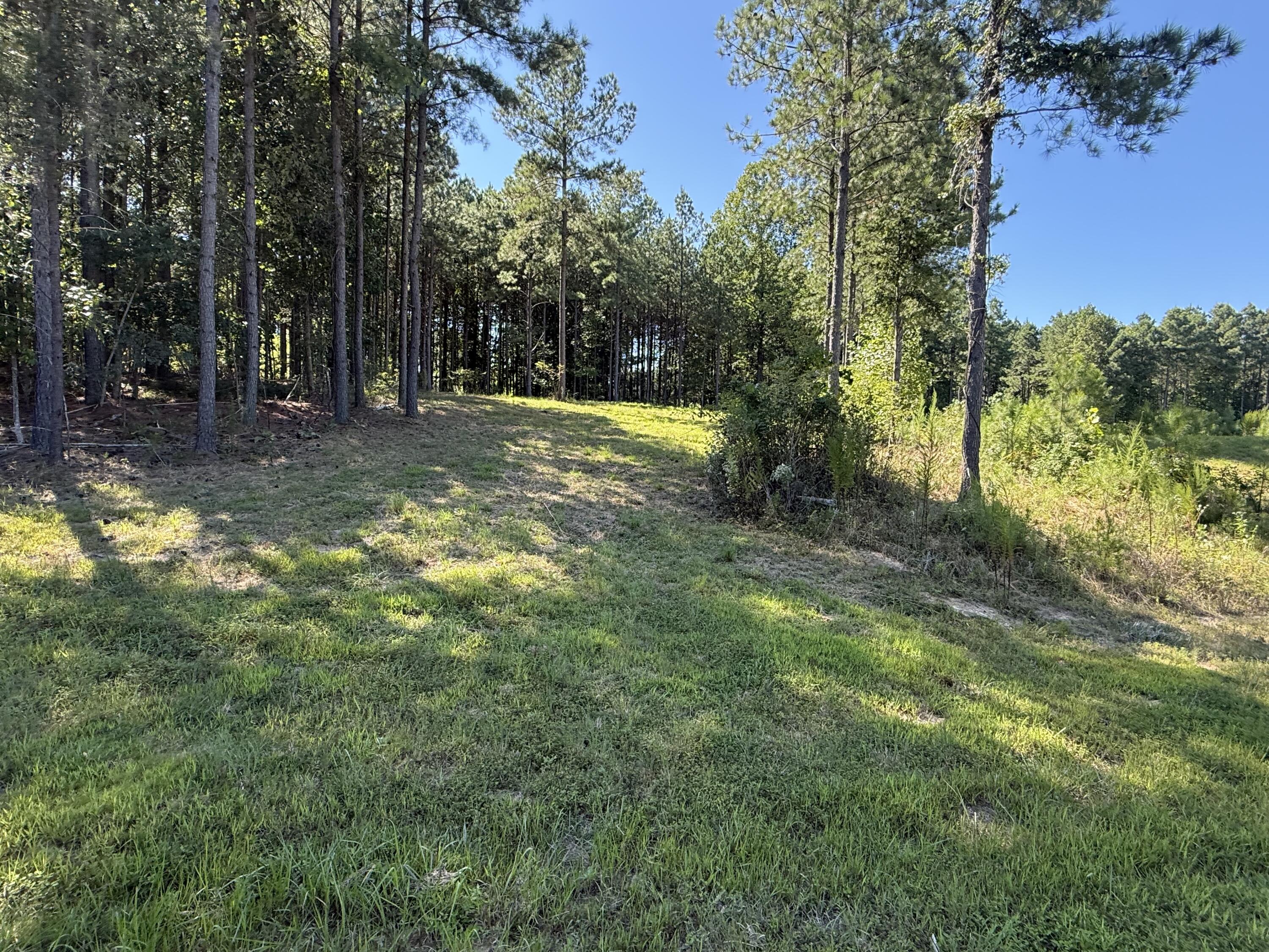 350 Crockett Loop, Jf-79