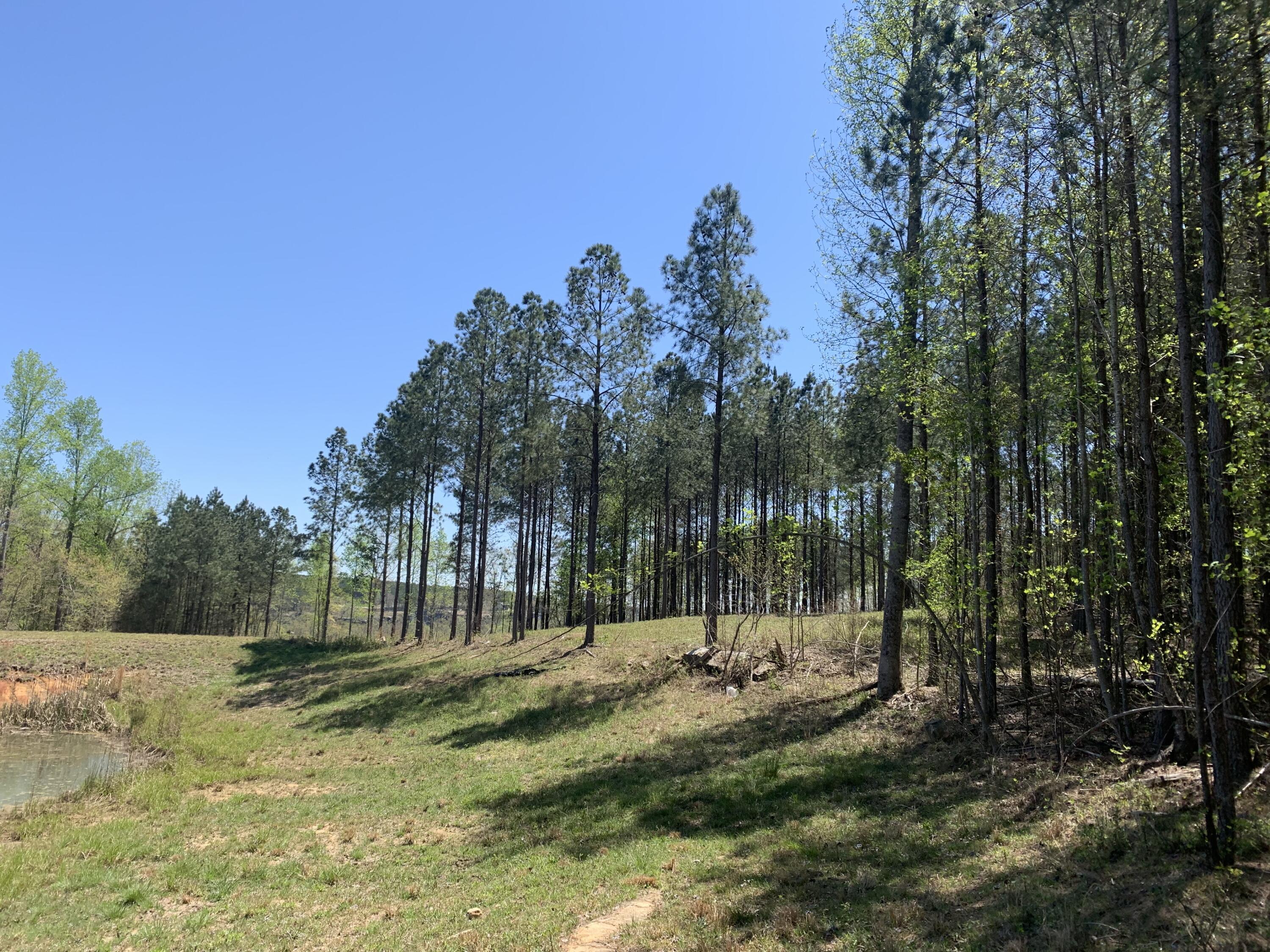 350 Crockett Loop, Jf-79