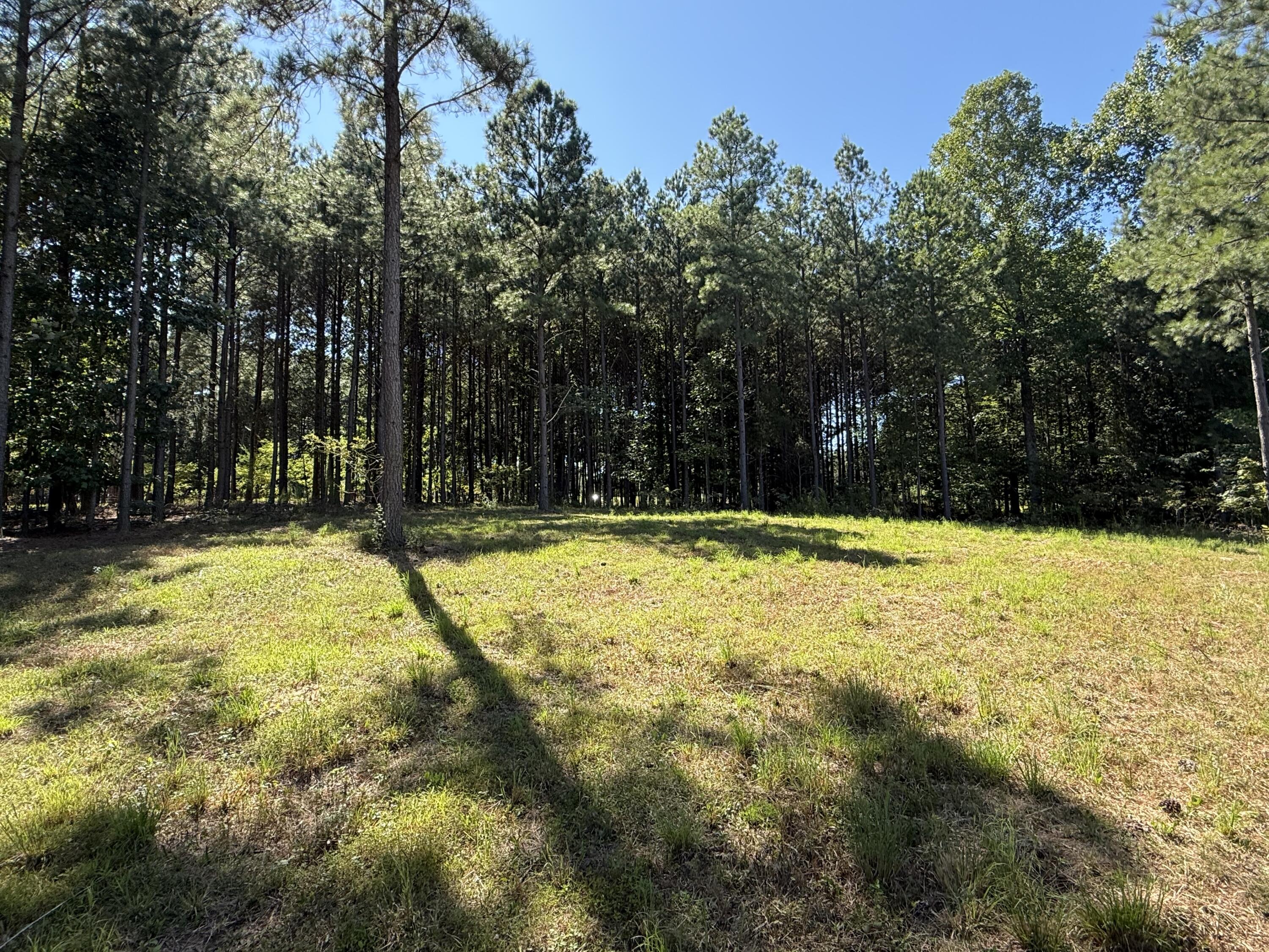 350 Crockett Loop, Jf-79