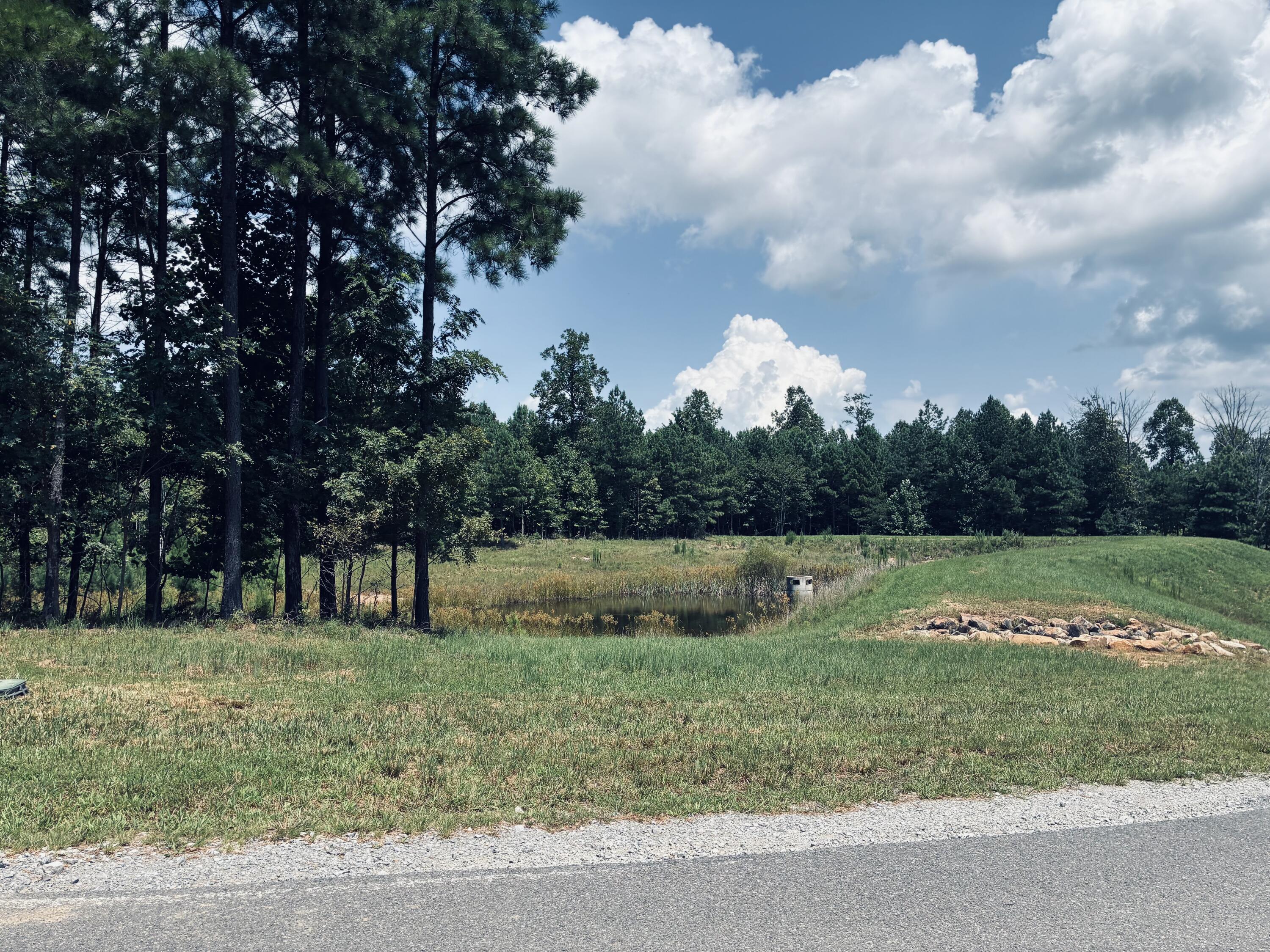 Grassy property lot with a small pond, wooded edge, and paved road frontage.