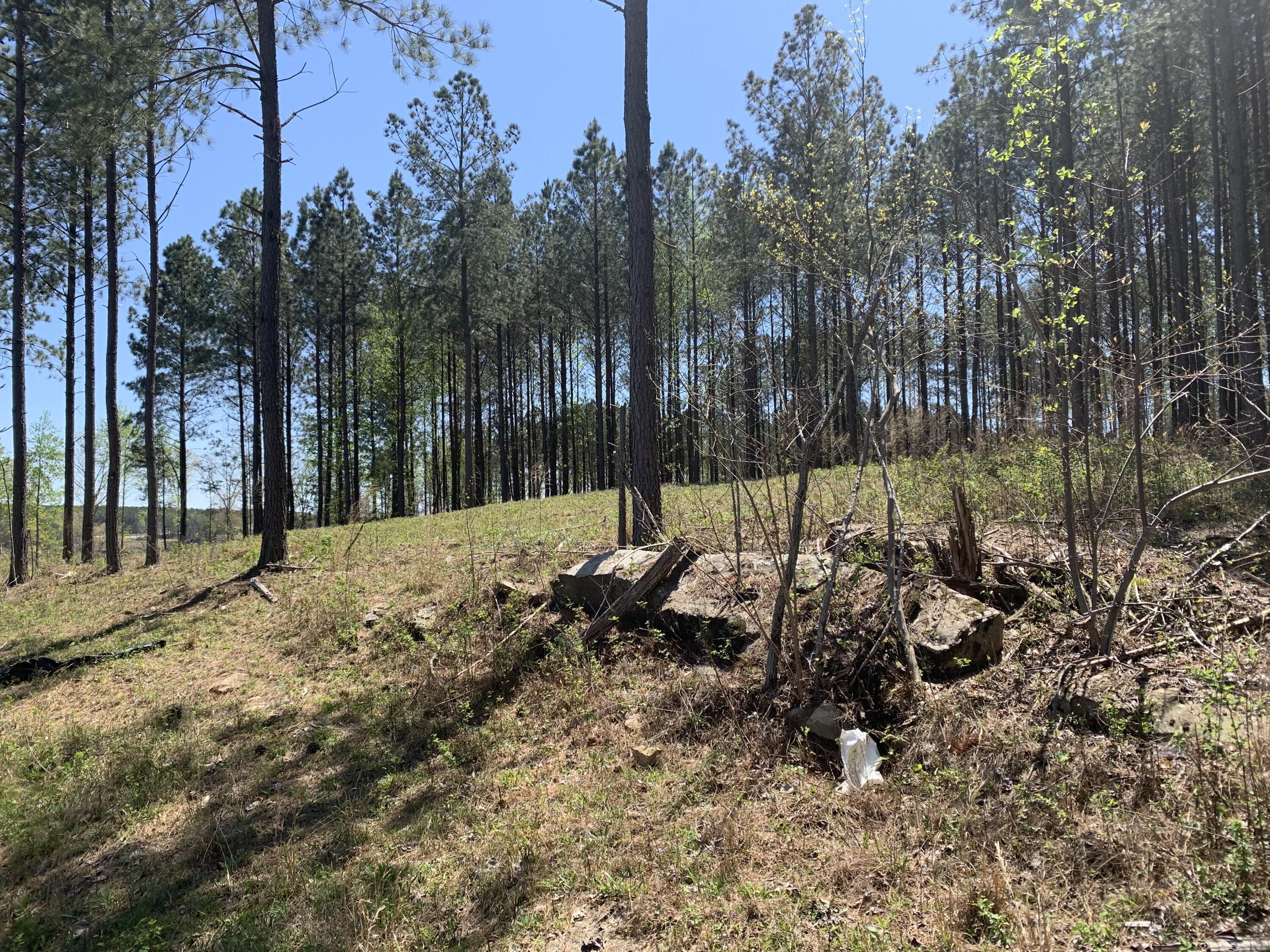 350 Crockett Loop, Jf-79