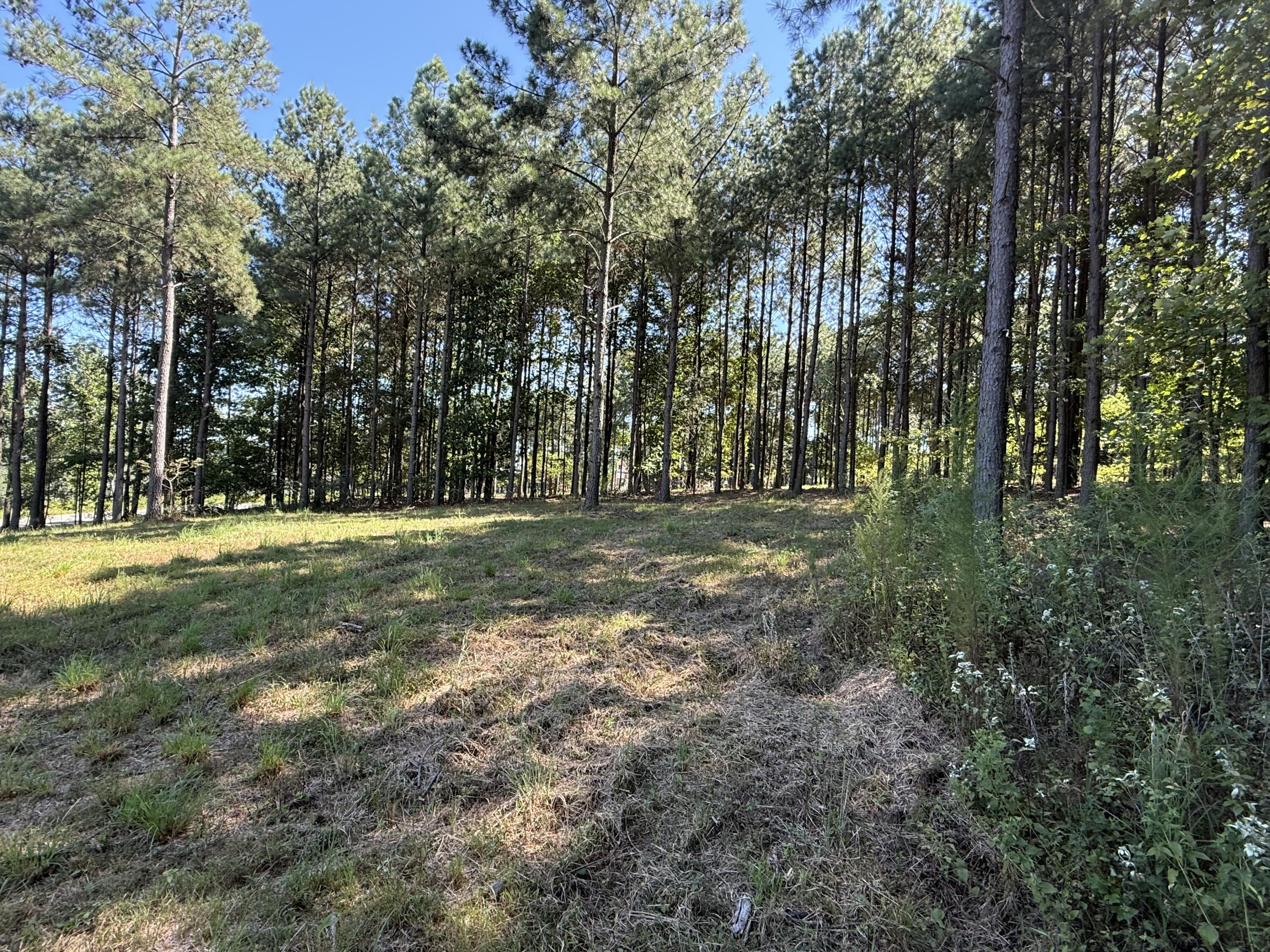 350 Crockett Loop, Jf-79