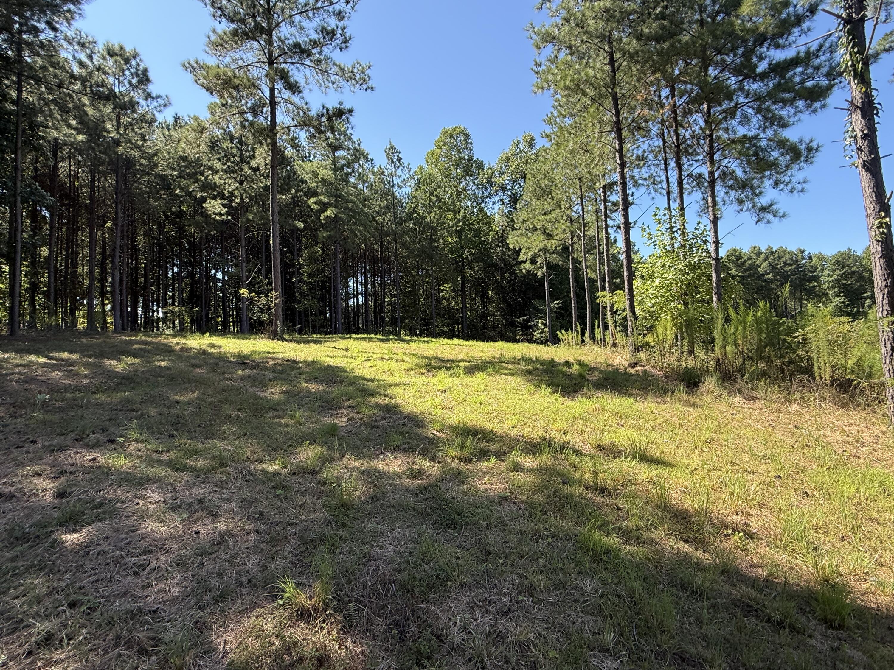 350 Crockett Loop, Jf-79
