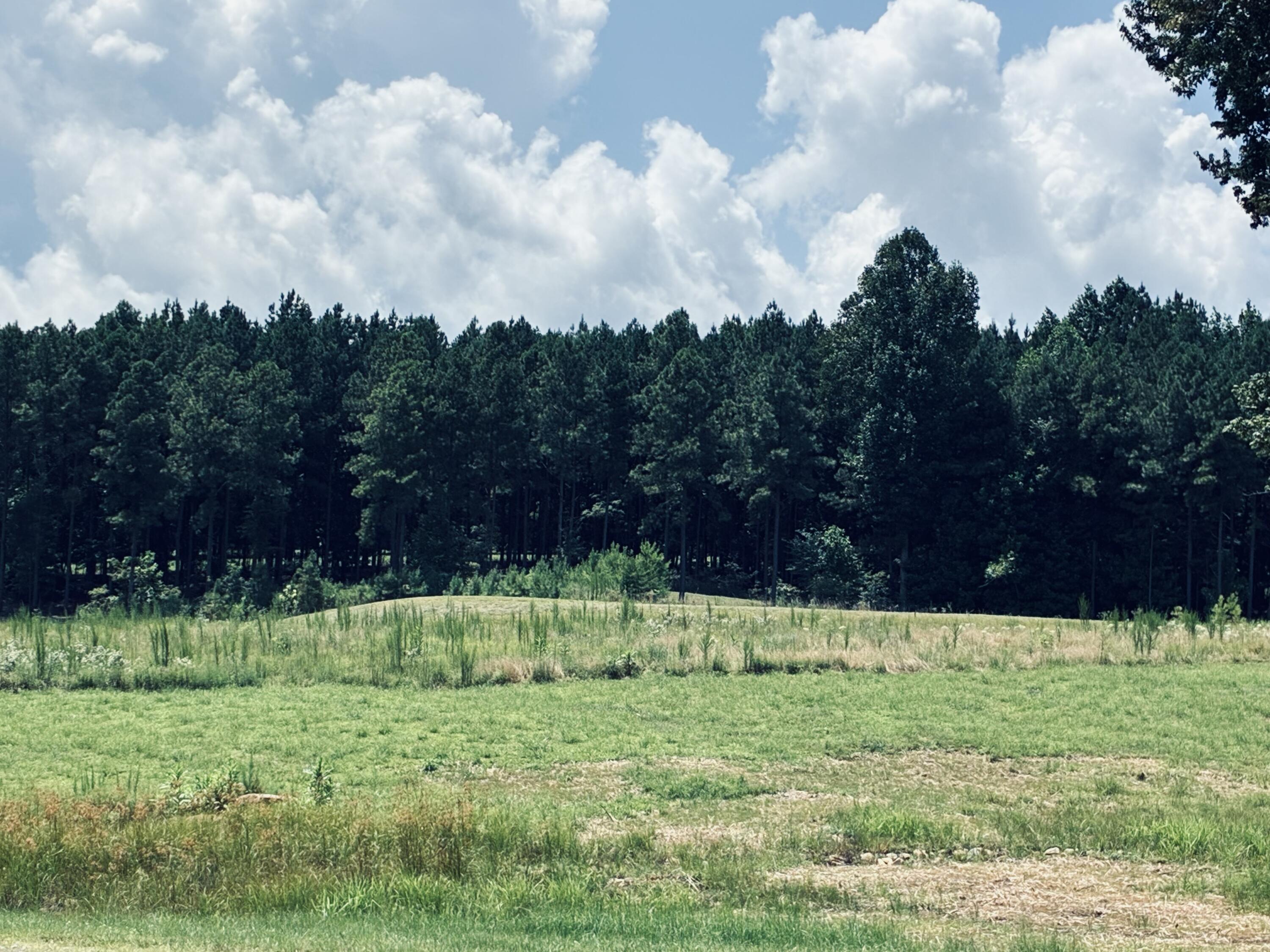 Open grassy land with a dense wooded tree line beneath a cloudy sky.