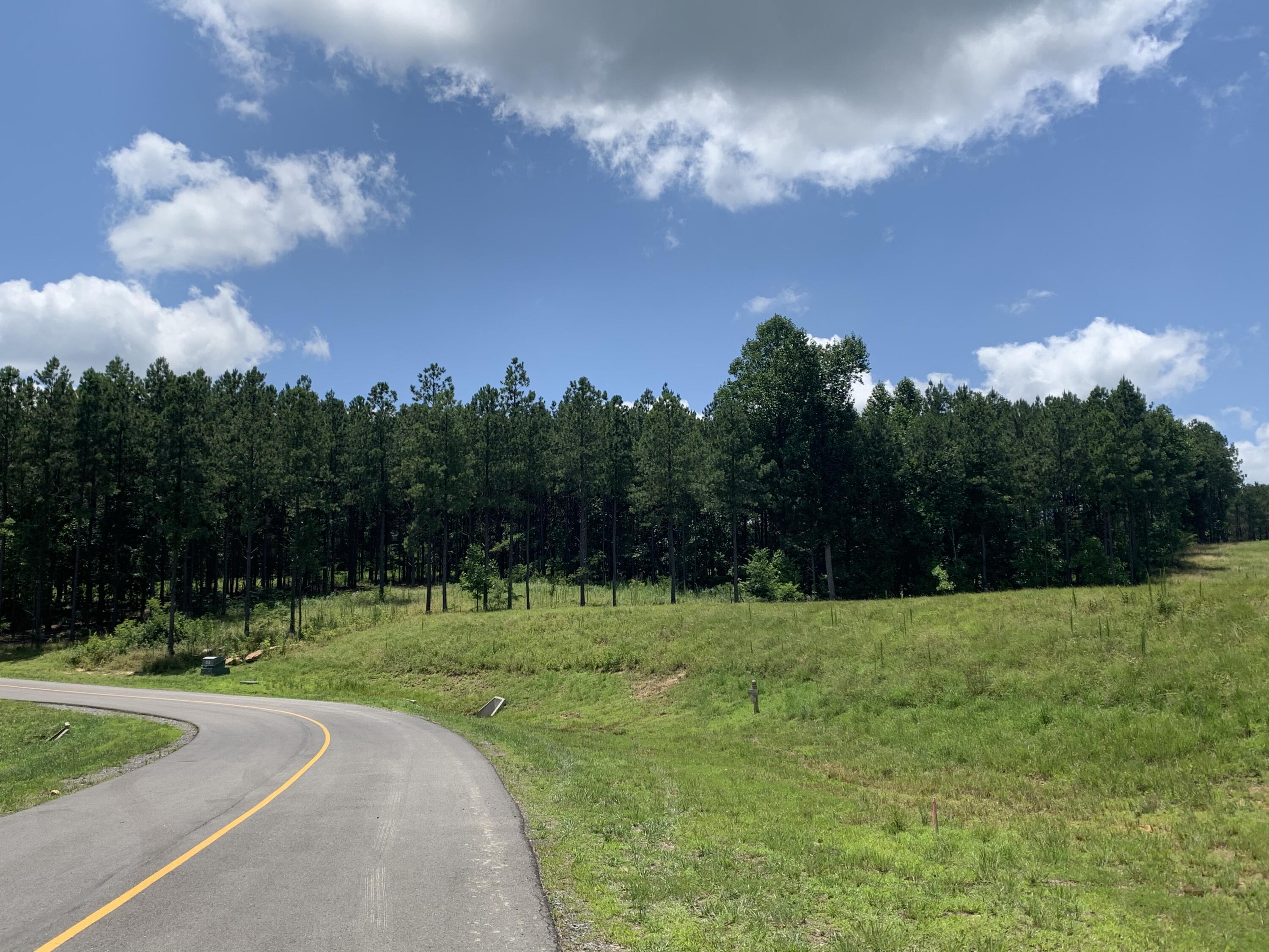 350 Crockett Loop, Jf-79
