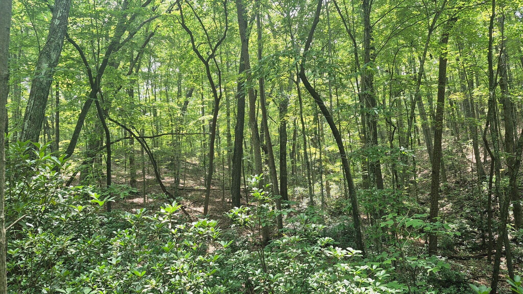 1255 Cherokee Path, Jf-257