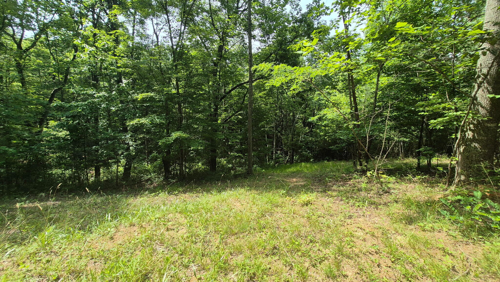 1255 Cherokee Path, Jf-257