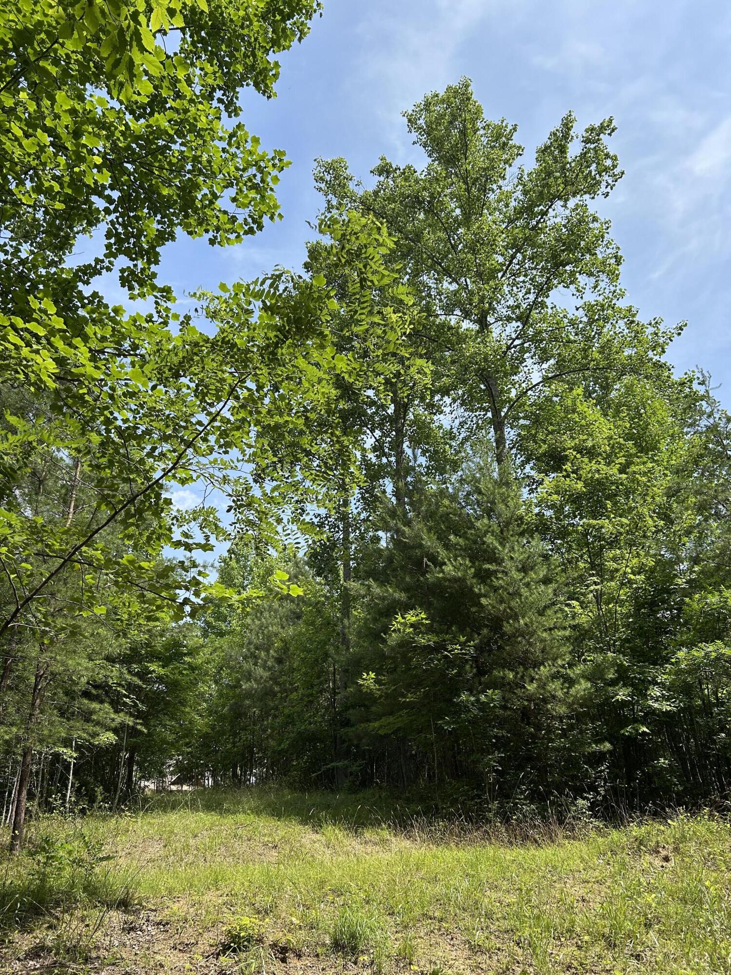 1255 Cherokee Path, Jf-257