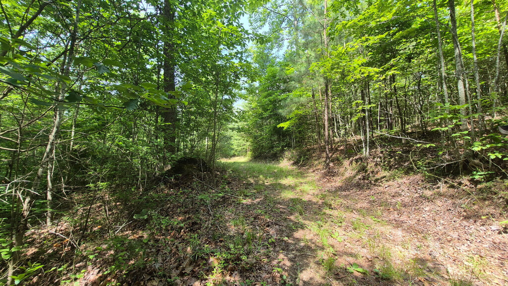 1255 Cherokee Path, Jf-257
