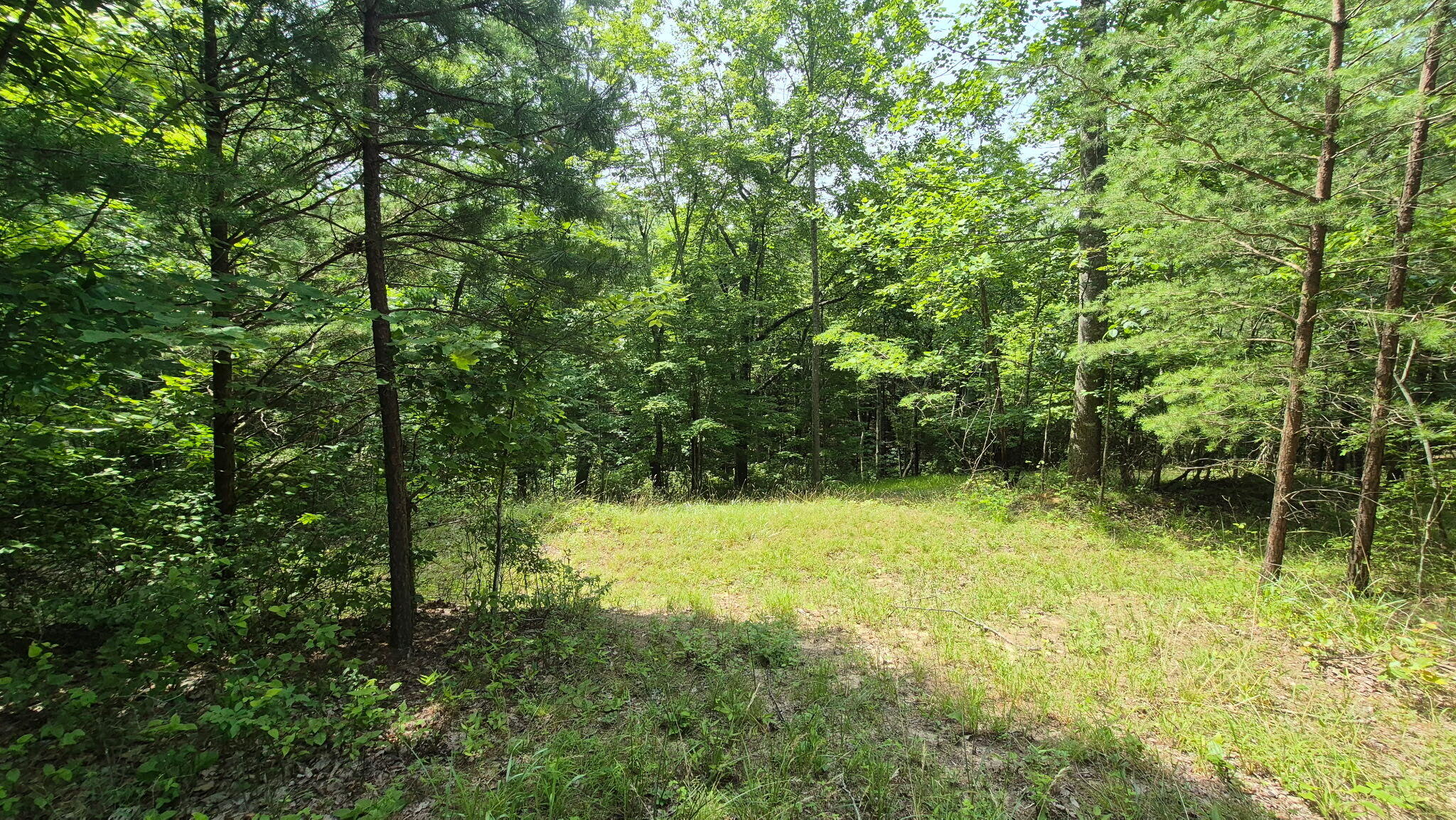 1255 Cherokee Path, Jf-257