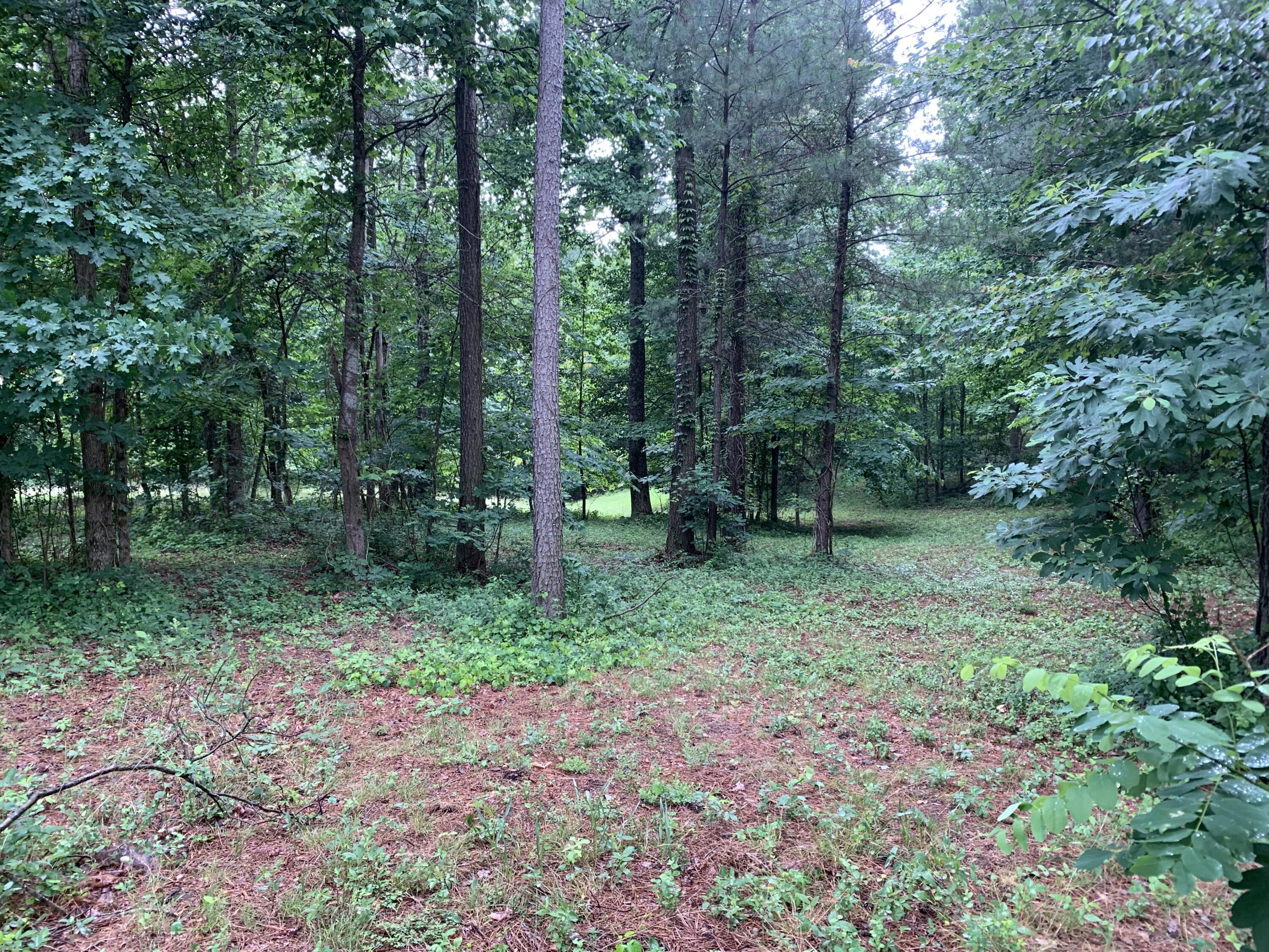 275 Lookout View Drive, Rb-219