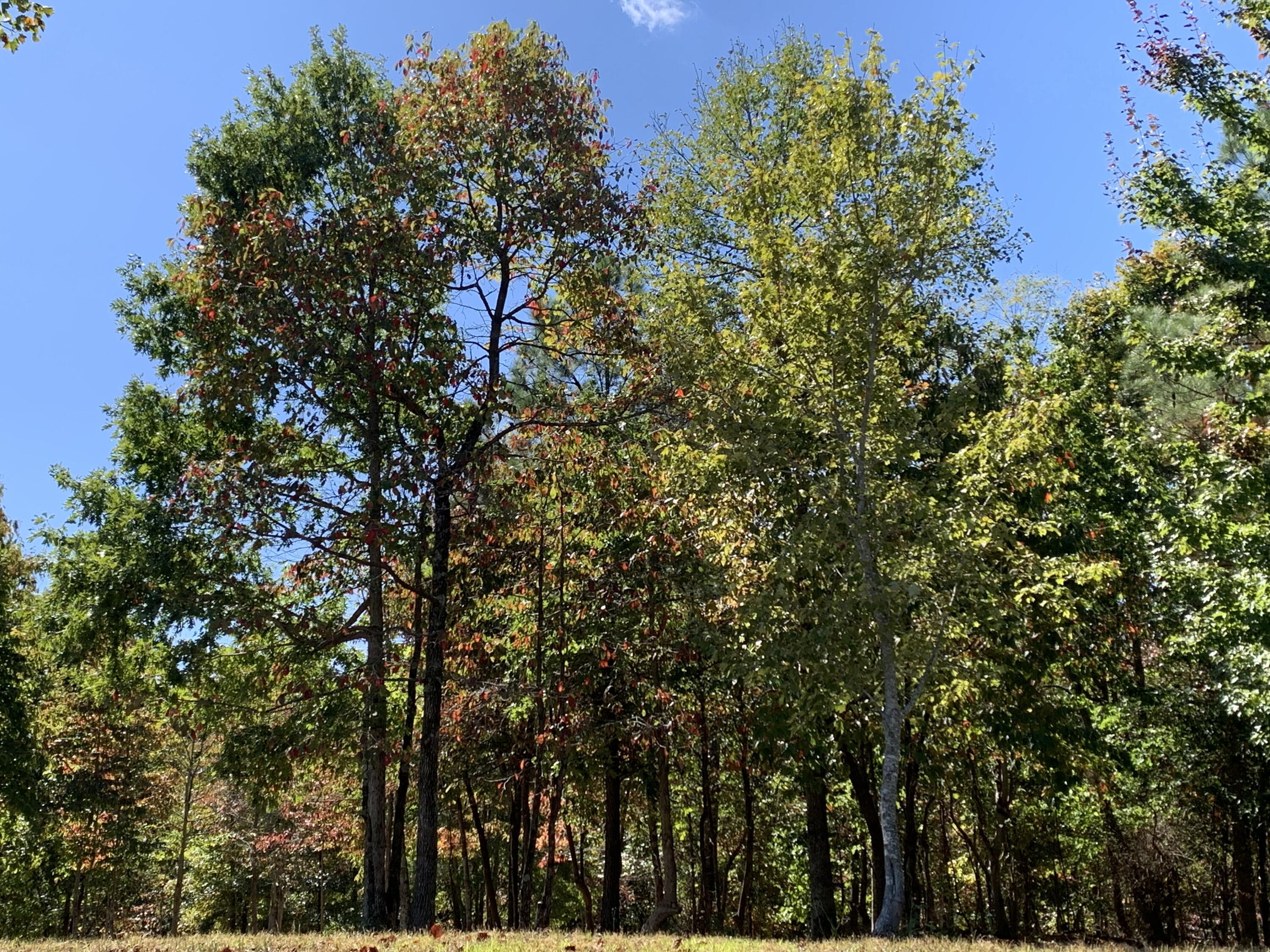 275 Lookout View Drive, Rb-219