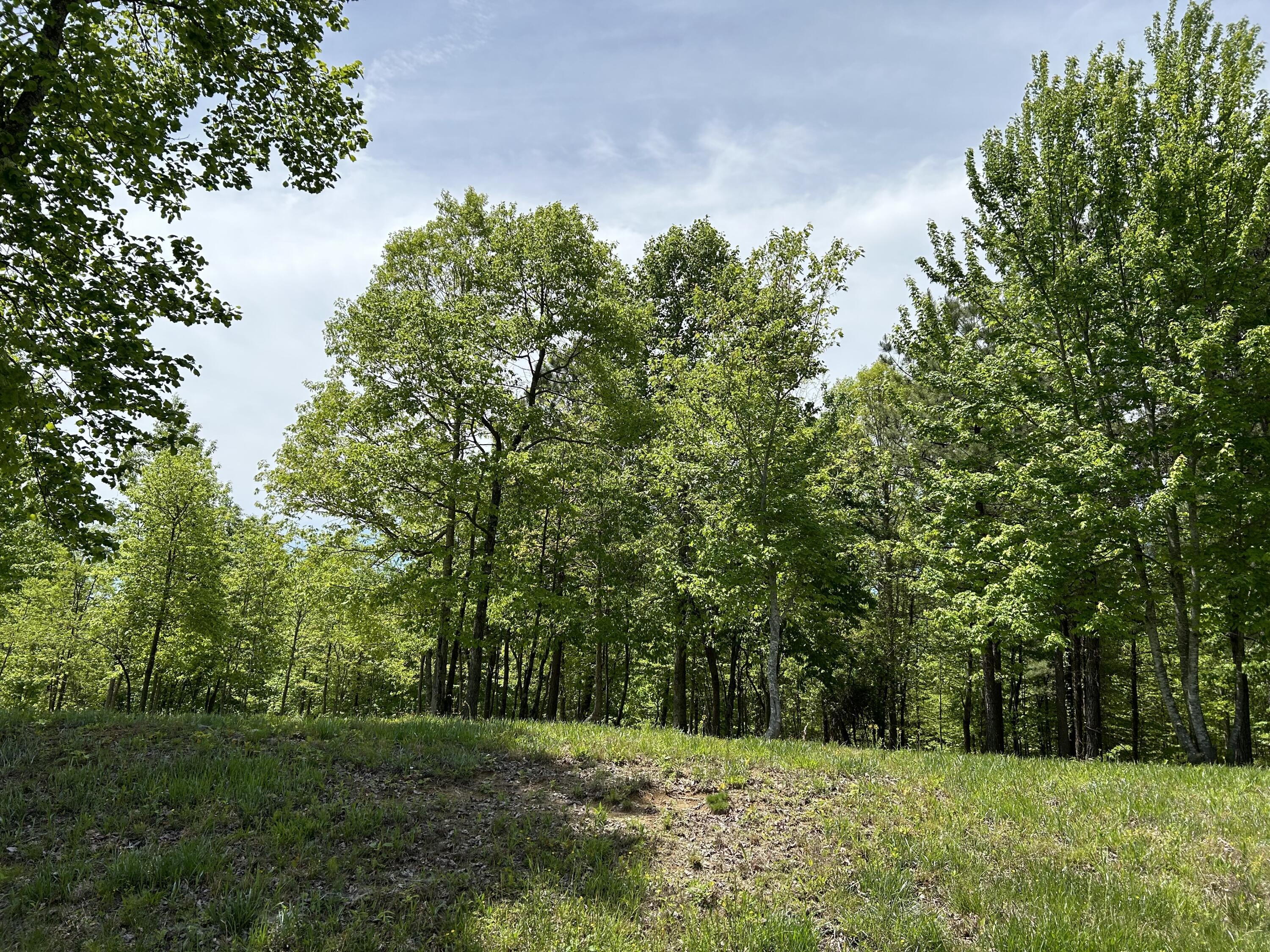 275 Lookout View Drive, Rb-219