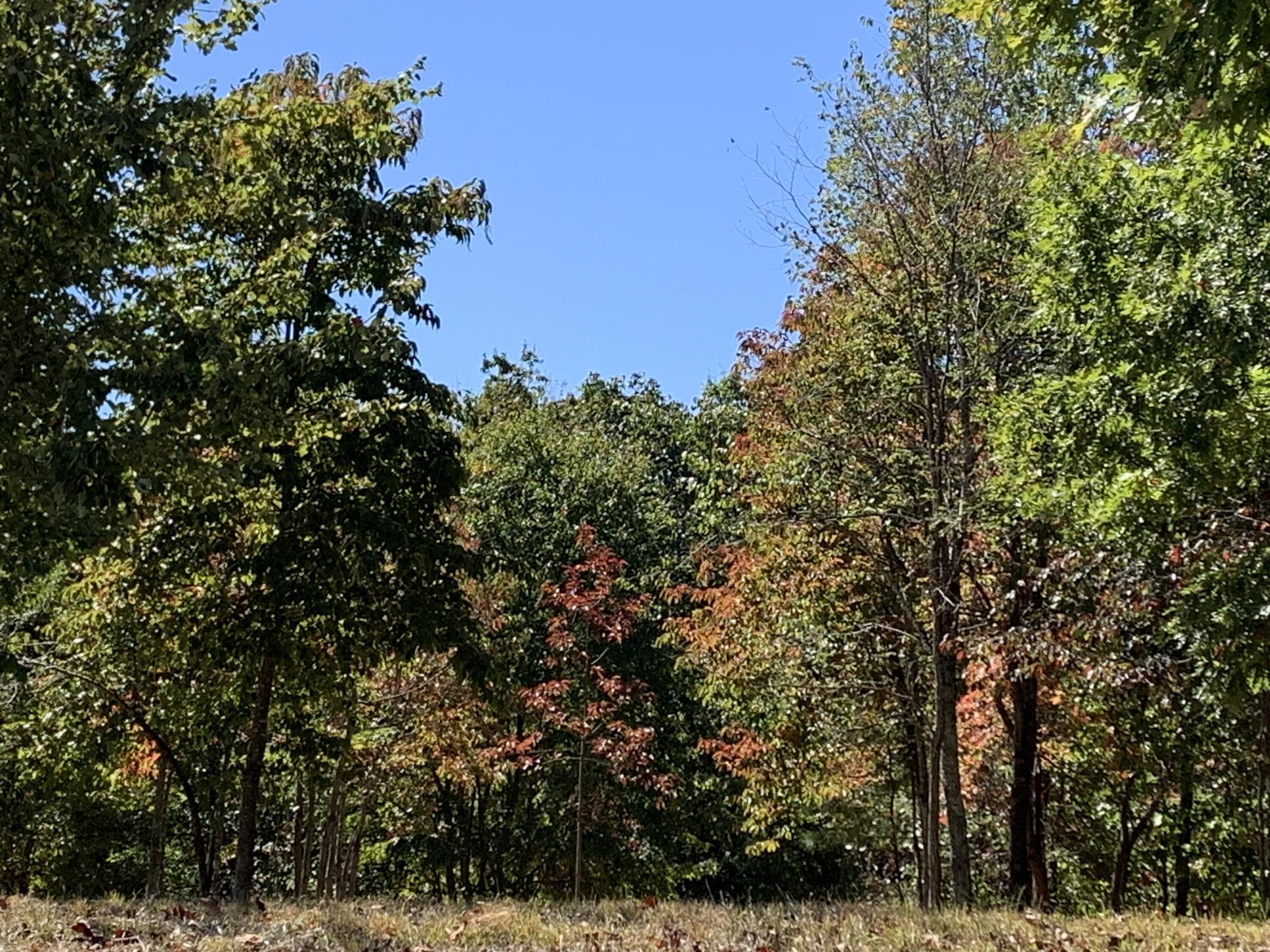 275 Lookout View Drive, Rb-219