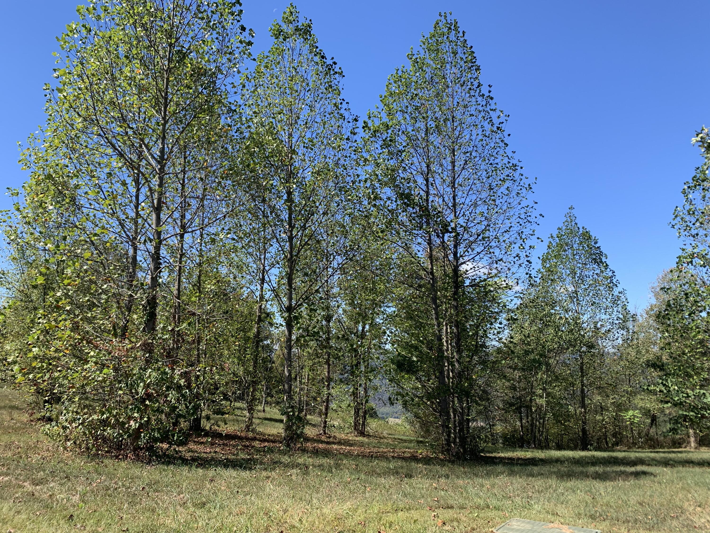 1130 Sunset Circle, Sv-126