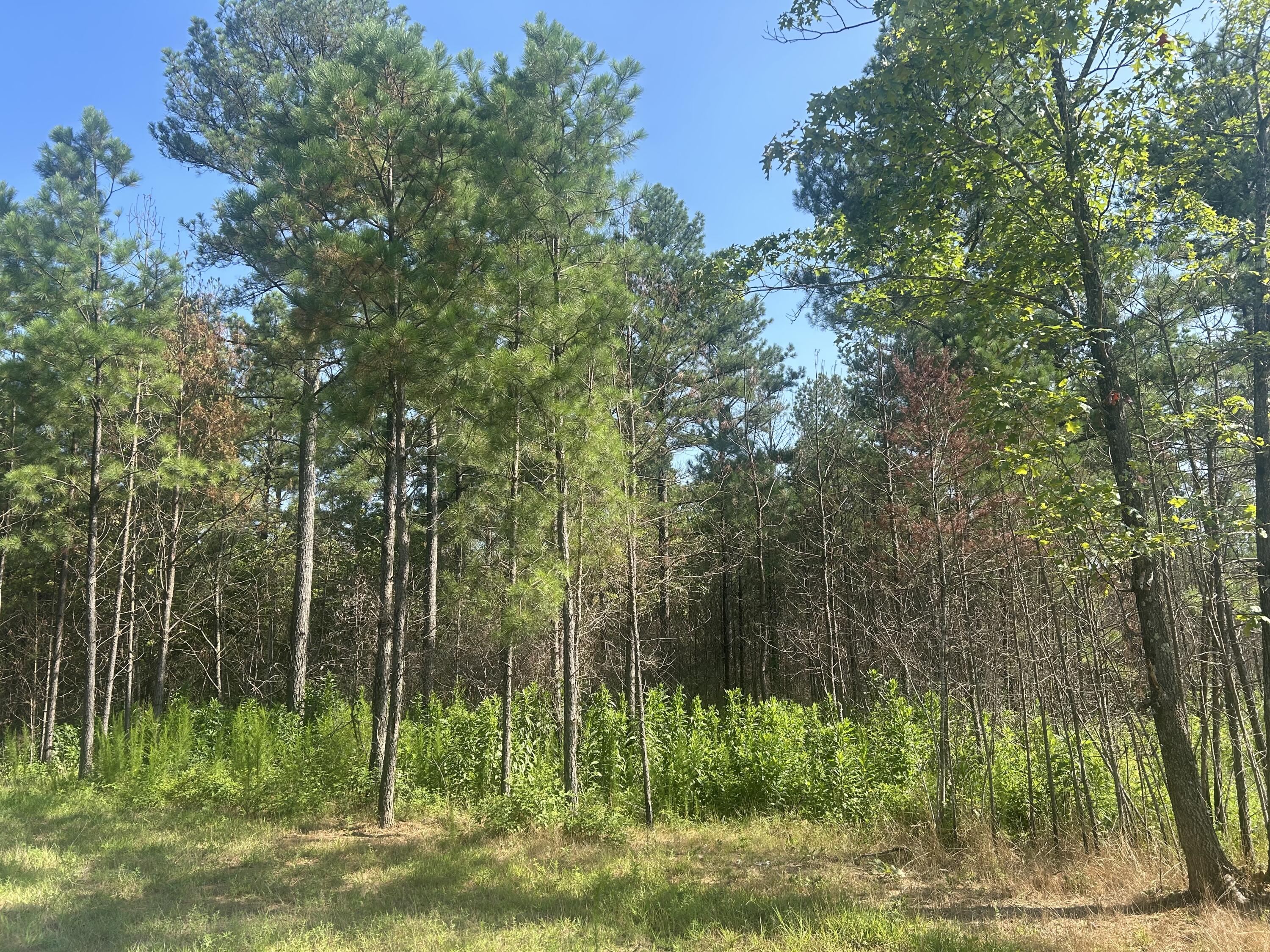 520 Buck Crossing Drive, 1030