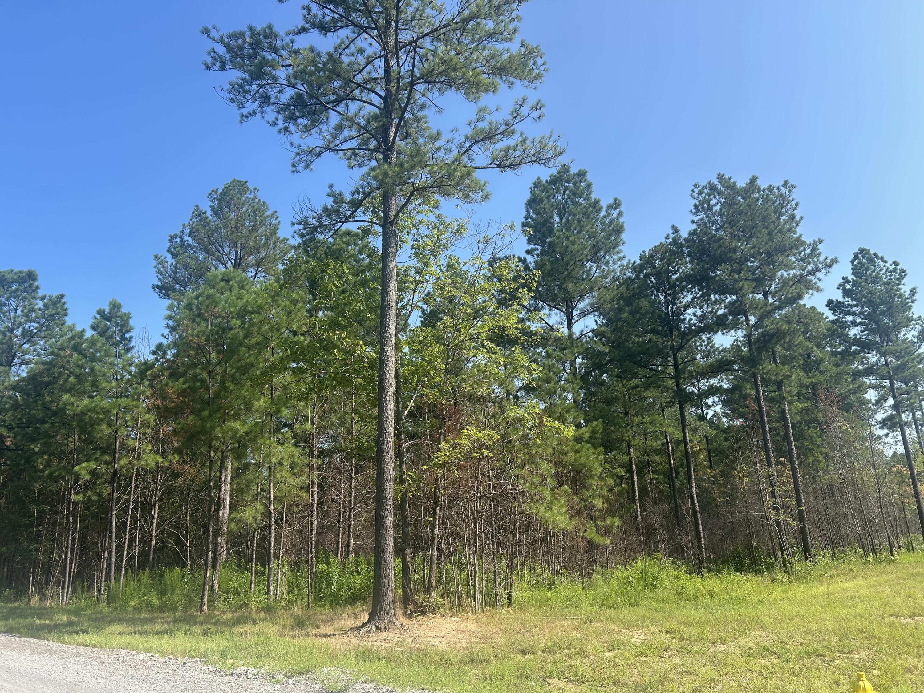 520 Buck Crossing Drive, 1030
