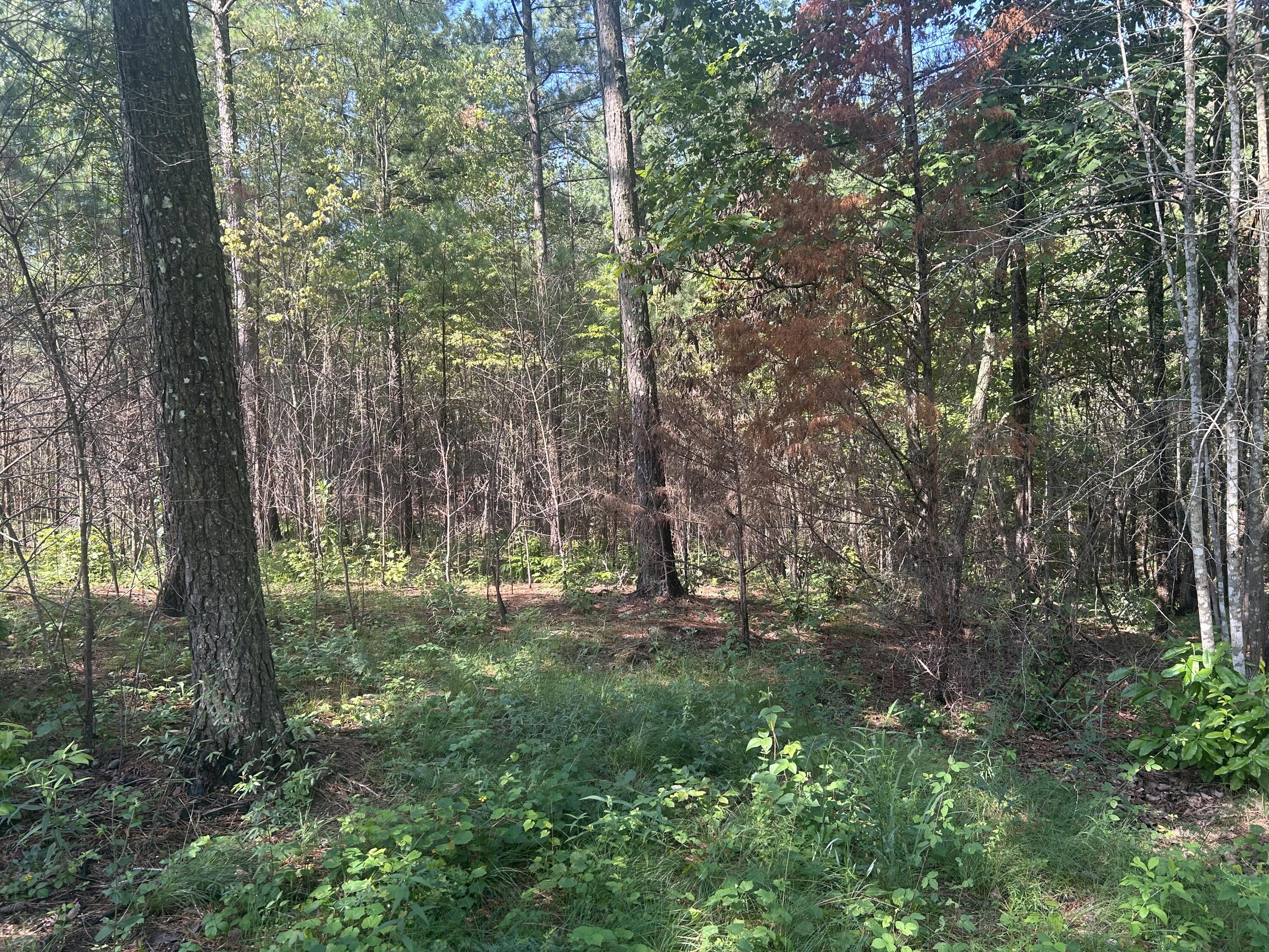 520 Buck Crossing Drive, 1030
