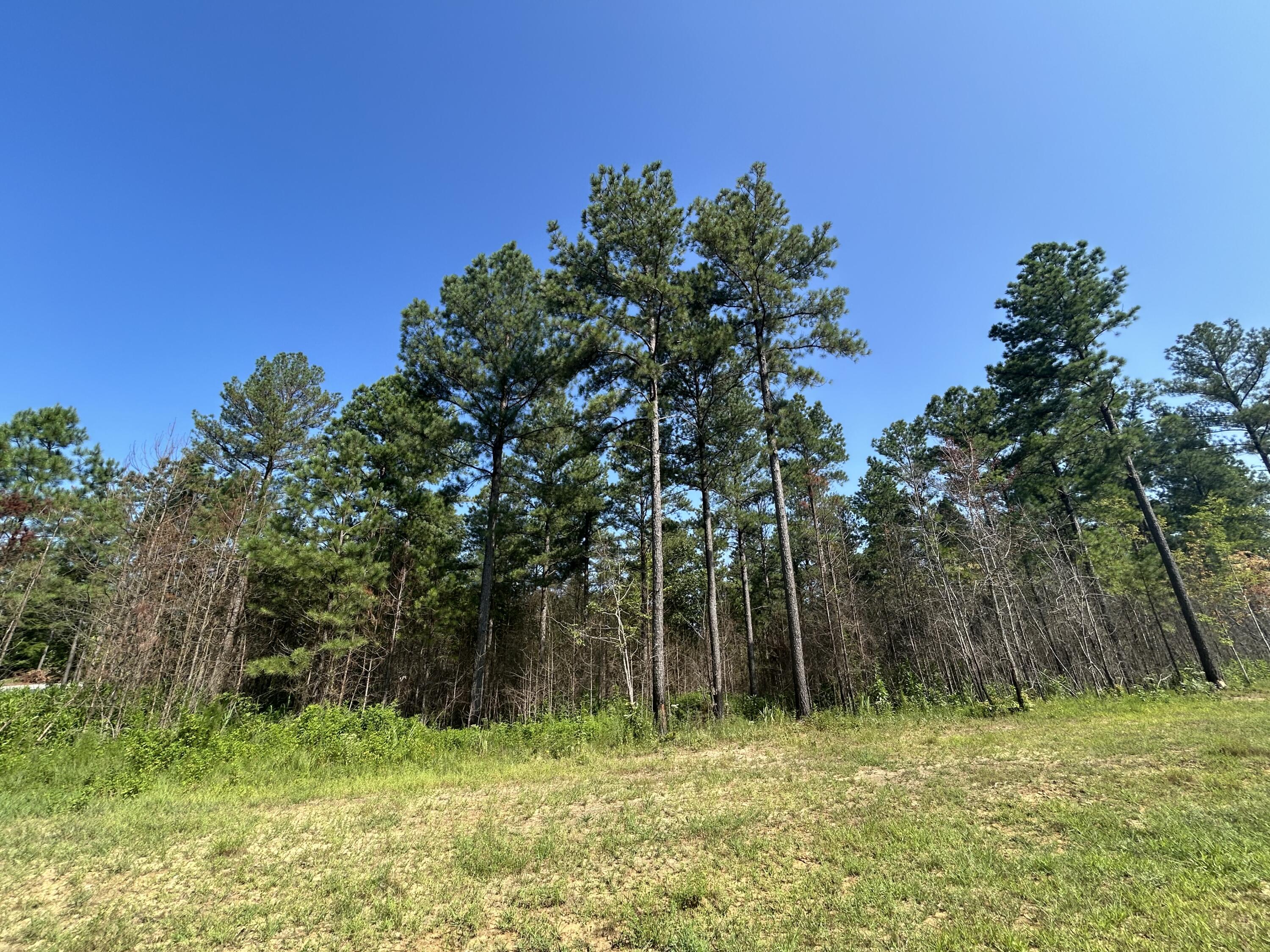 520 Buck Crossing Drive, 1030
