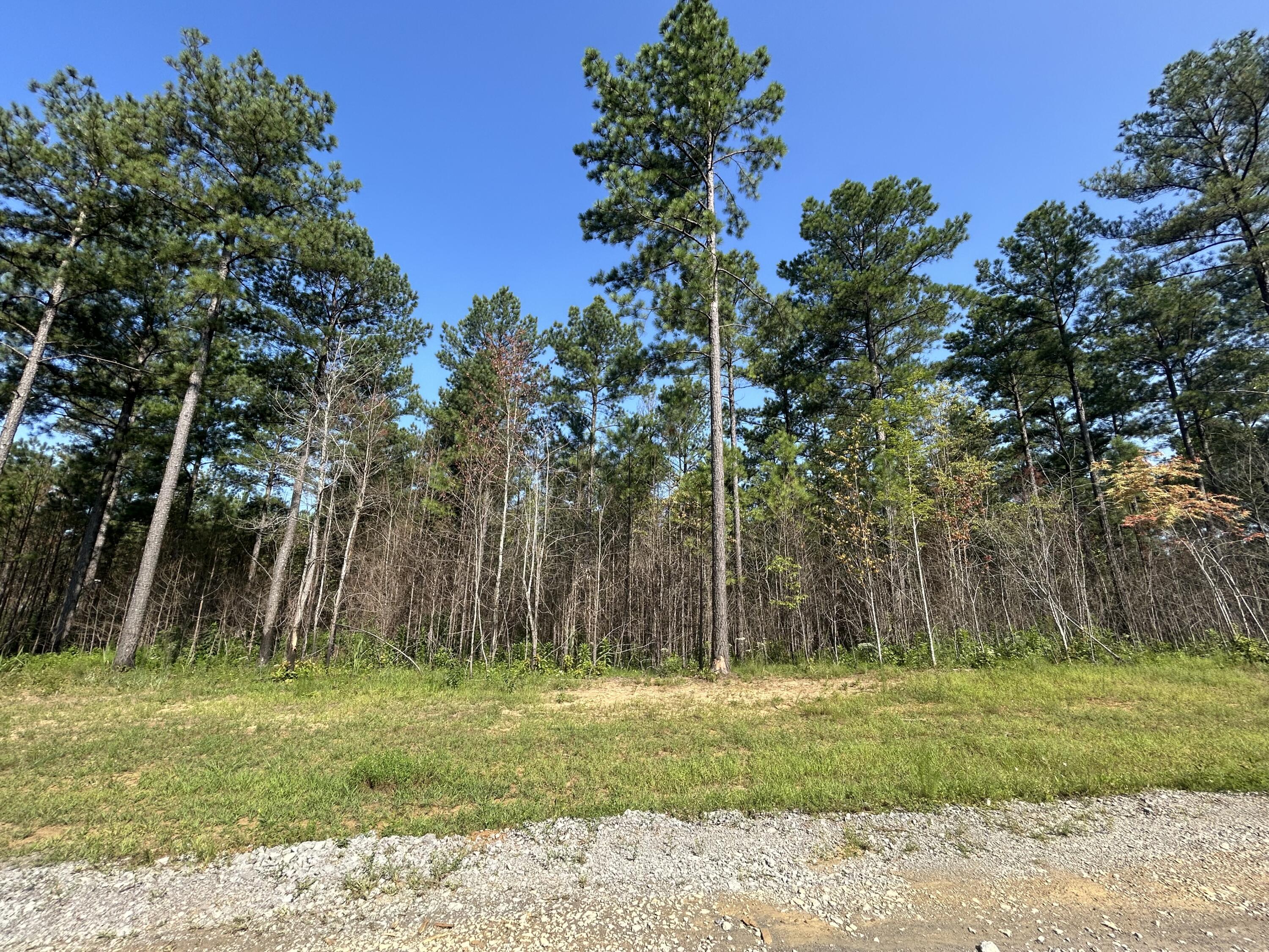 520 Buck Crossing Drive, 1030
