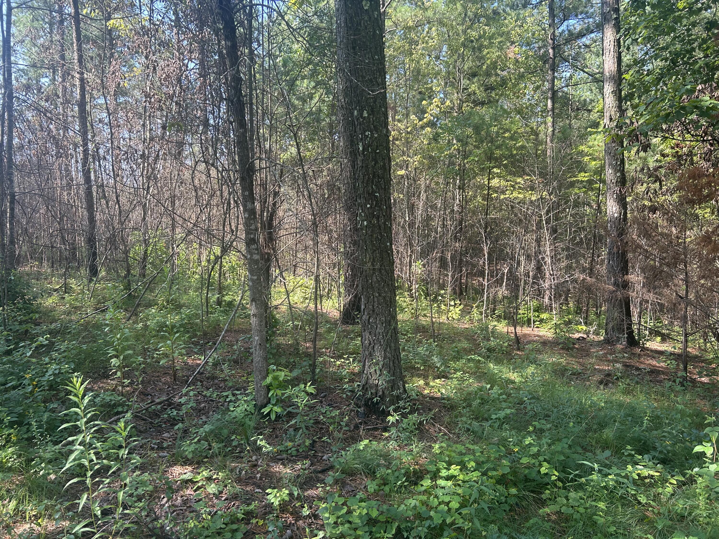 520 Buck Crossing Drive, 1030