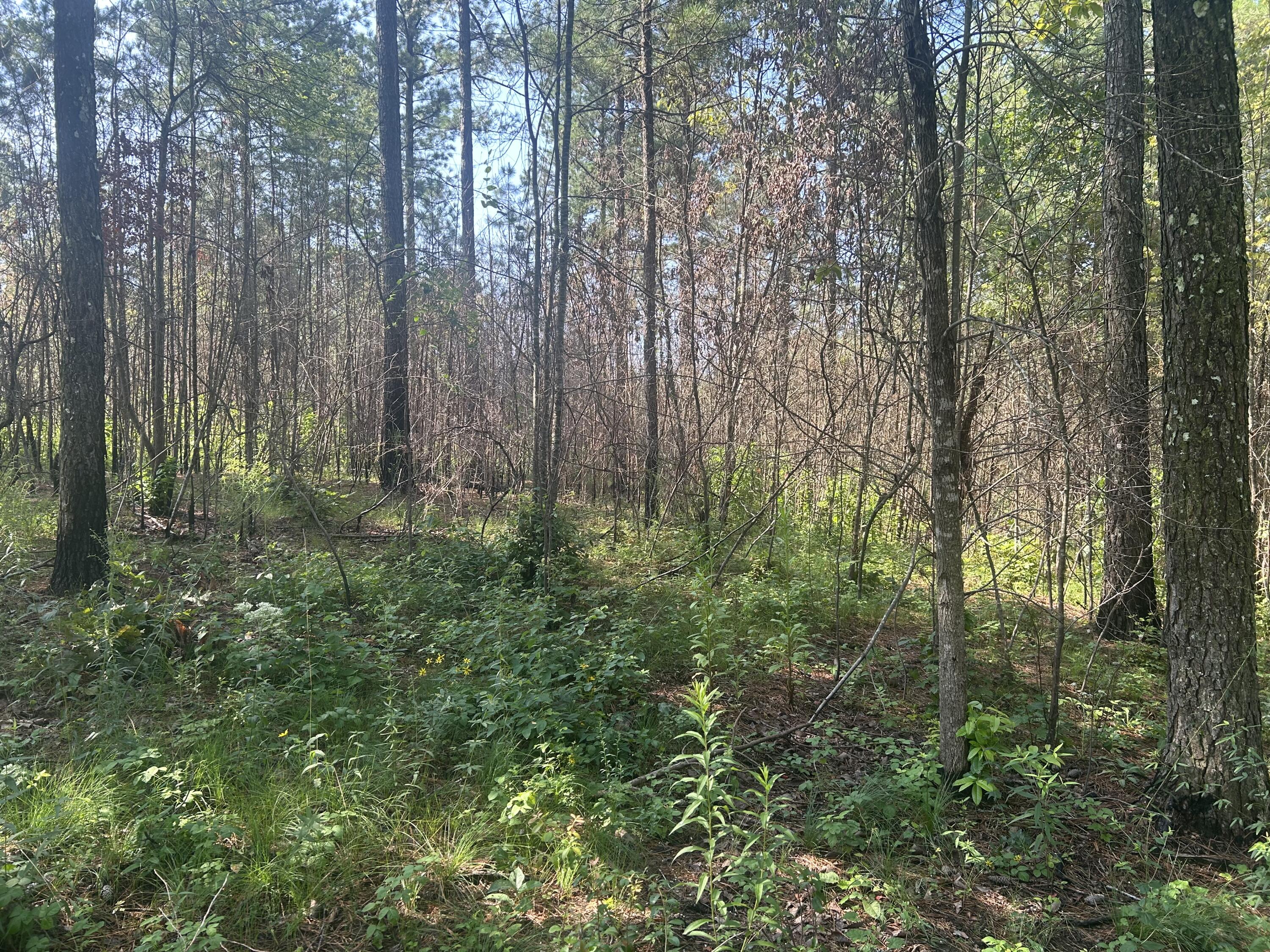 520 Buck Crossing Drive, 1030