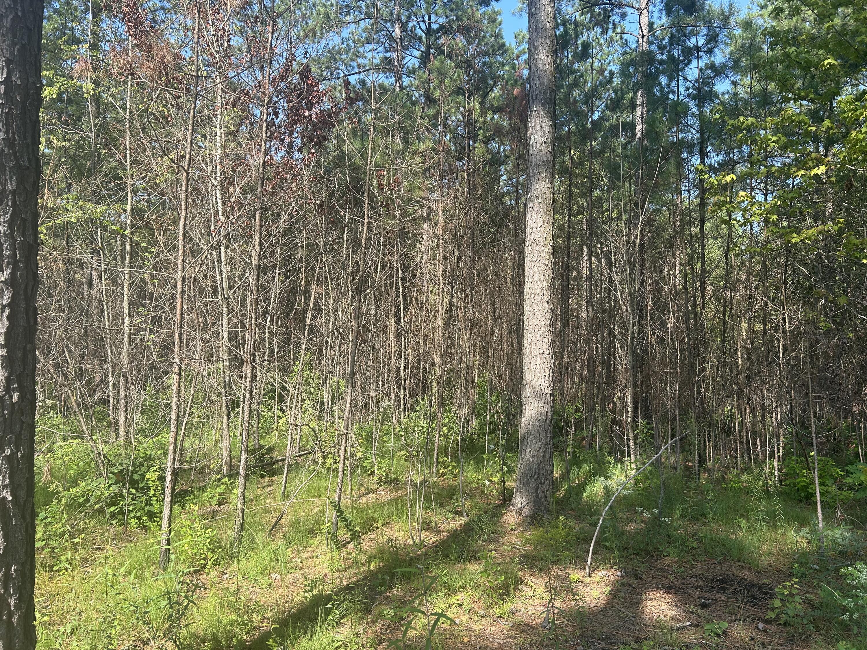 520 Buck Crossing Drive, 1030