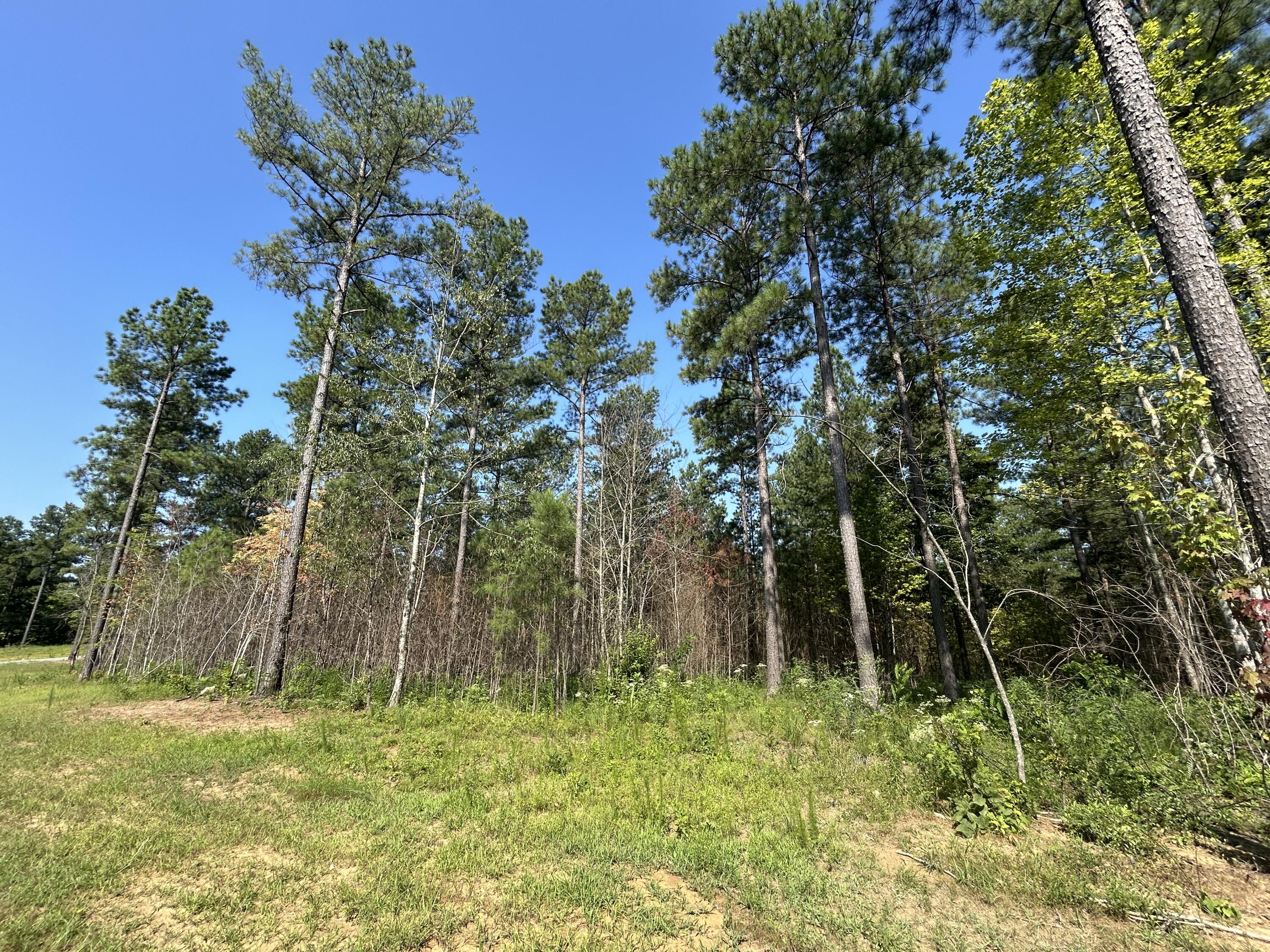 520 Buck Crossing Drive, 1030