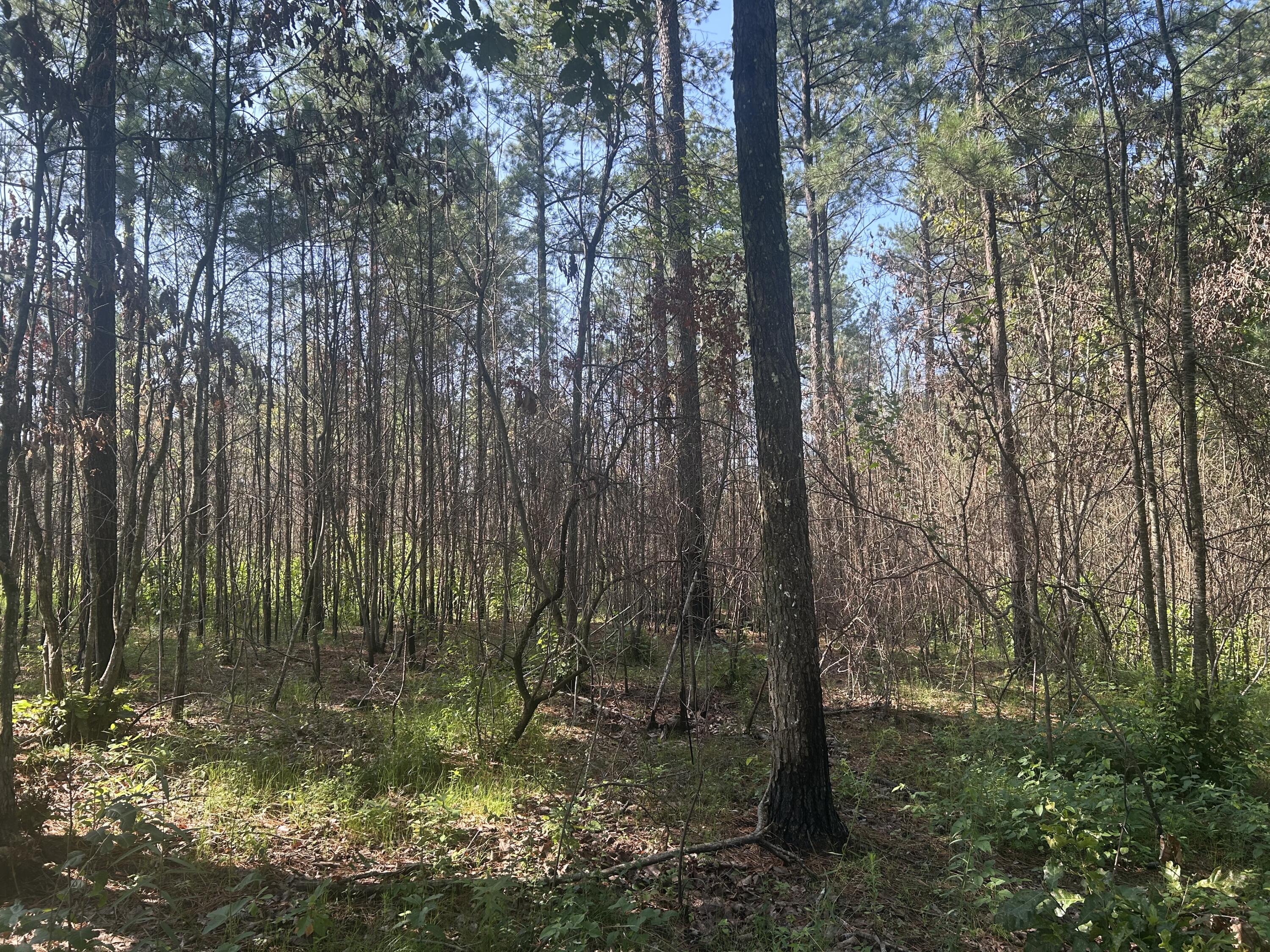 520 Buck Crossing Drive, 1030